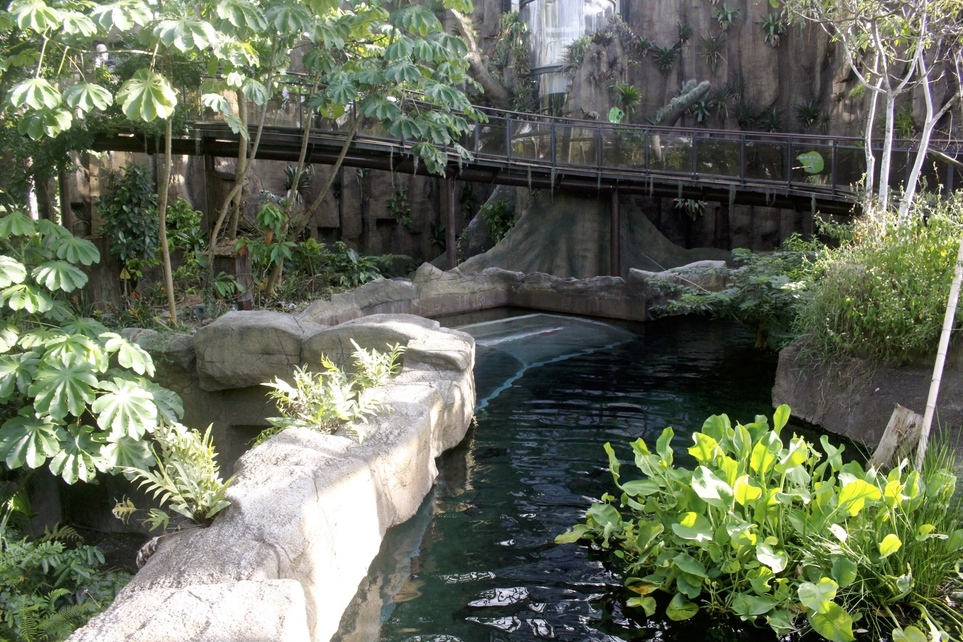 【台北 Taipei Zoo木柵動物園】暑期新館！經歷13年、斥資3.9億打造24公尺高「熱帶雨林」館，平日時間自由進出