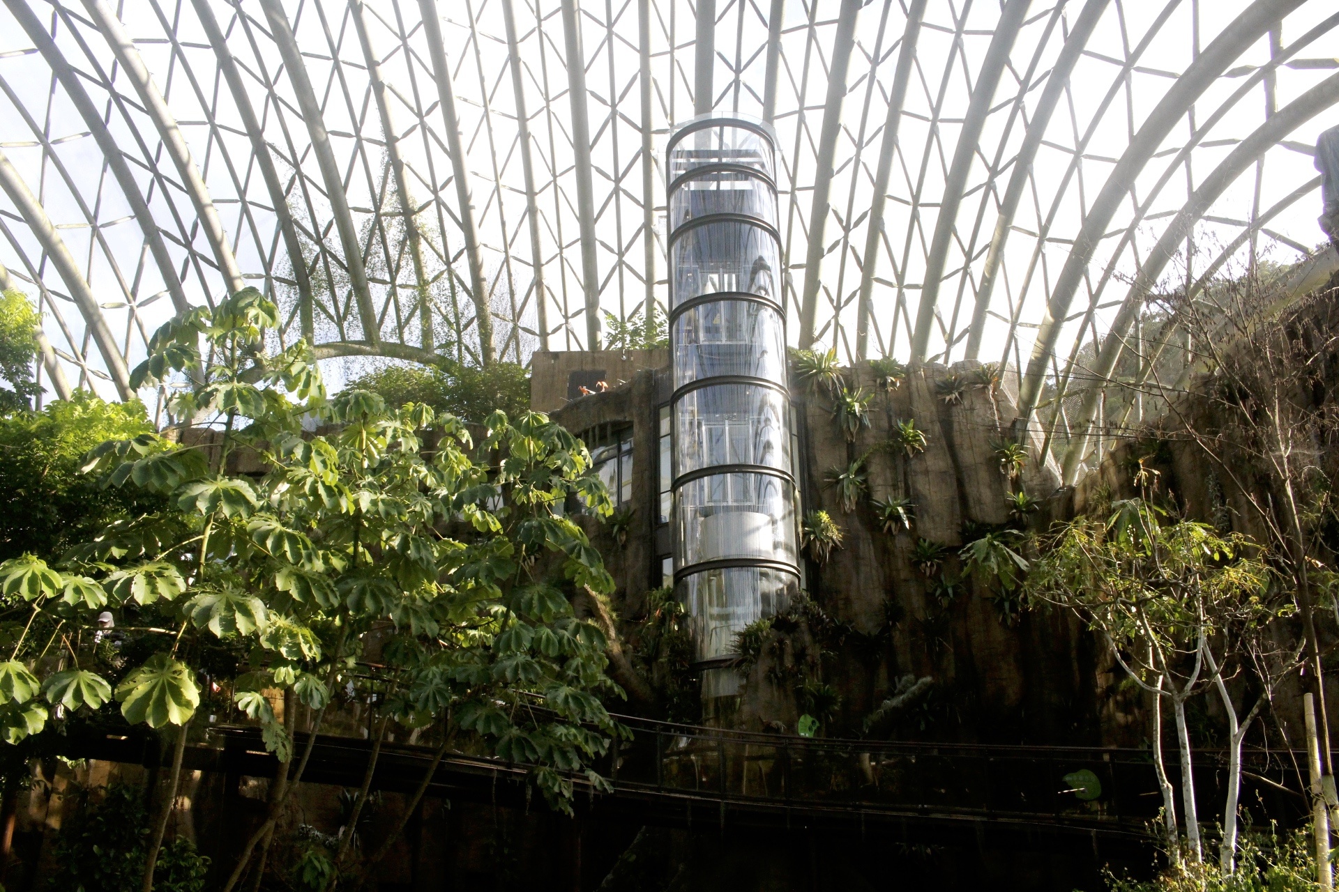 【台北 Taipei Zoo木柵動物園】暑期新館！經歷13年、斥資3.9億打造24公尺高「熱帶雨林」館，平日時間自由進出