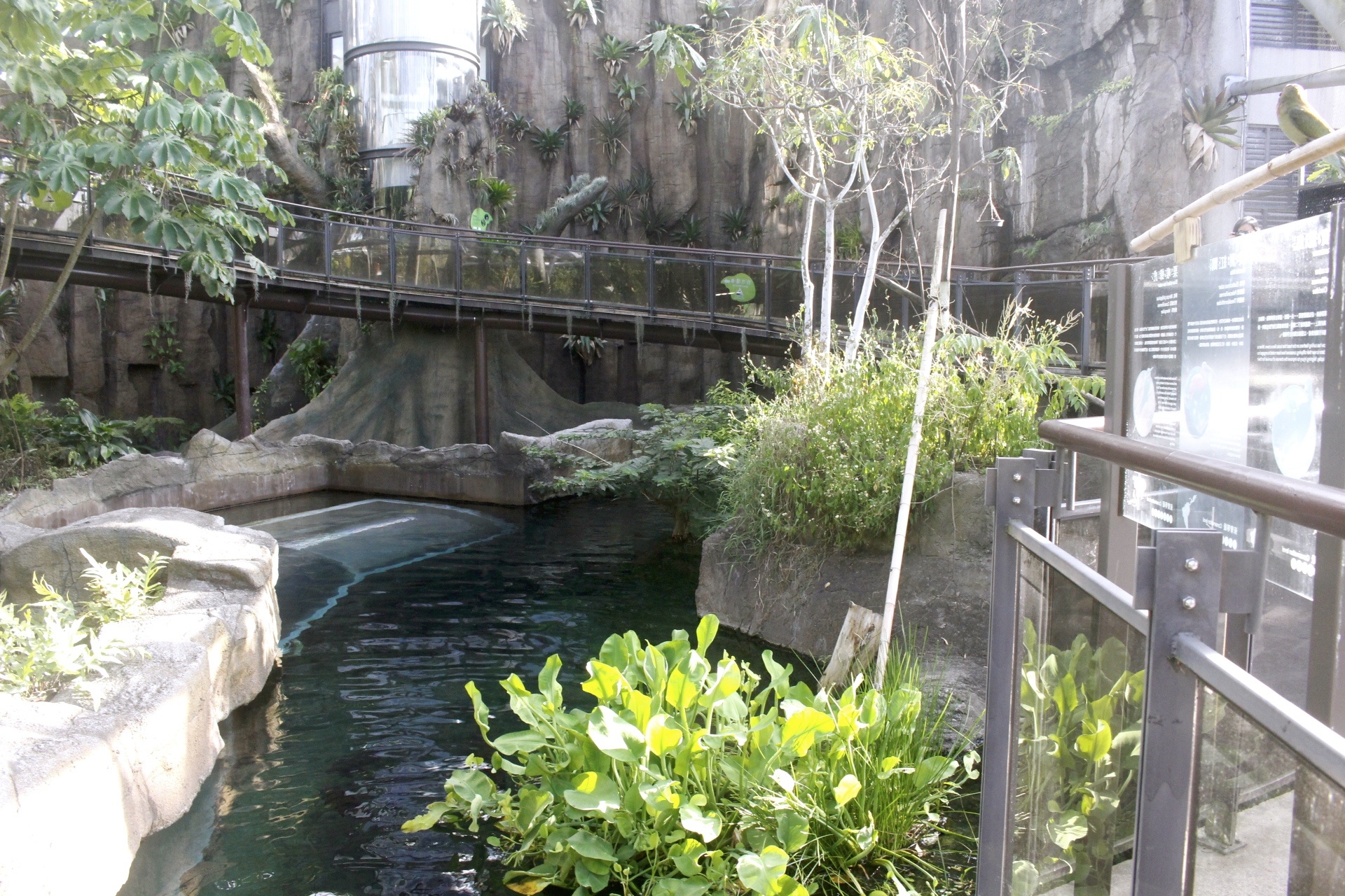 【台北 Taipei Zoo木柵動物園】暑期新館！經歷13年、斥資3.9億打造24公尺高「熱帶雨林」館，平日時間自由進出