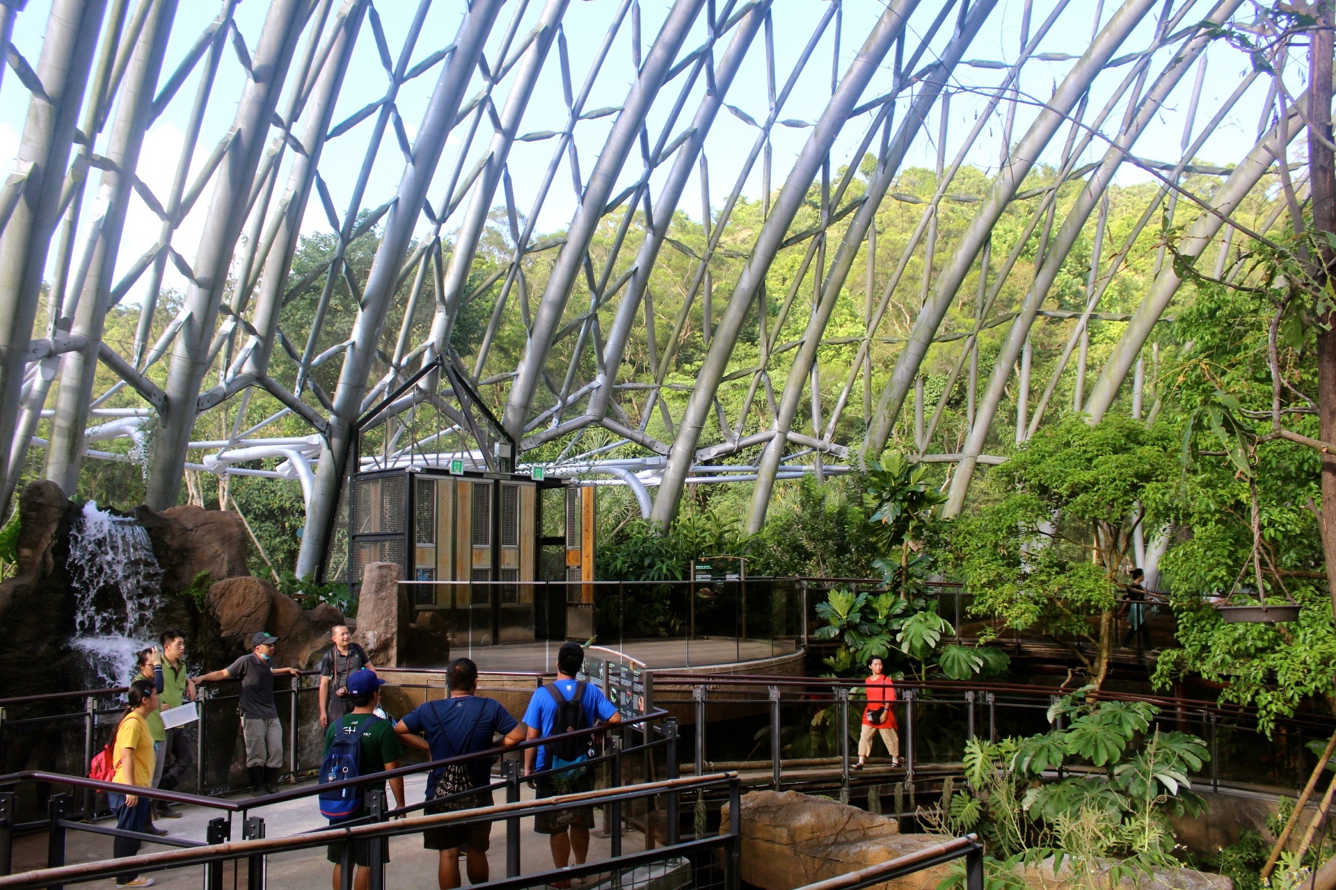 【台北 Taipei Zoo木柵動物園】暑期新館！經歷13年、斥資3.9億打造24公尺高「熱帶雨林」館，平日時間自由進出