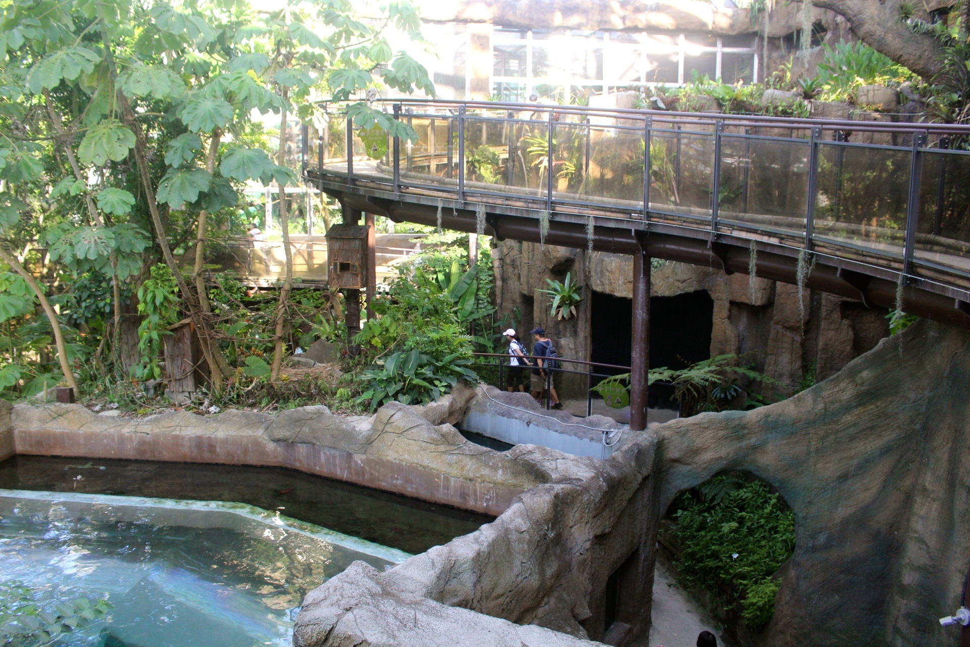 【台北 Taipei Zoo木柵動物園】暑期新館！經歷13年、斥資3.9億打造24公尺高「熱帶雨林」館，平日時間自由進出