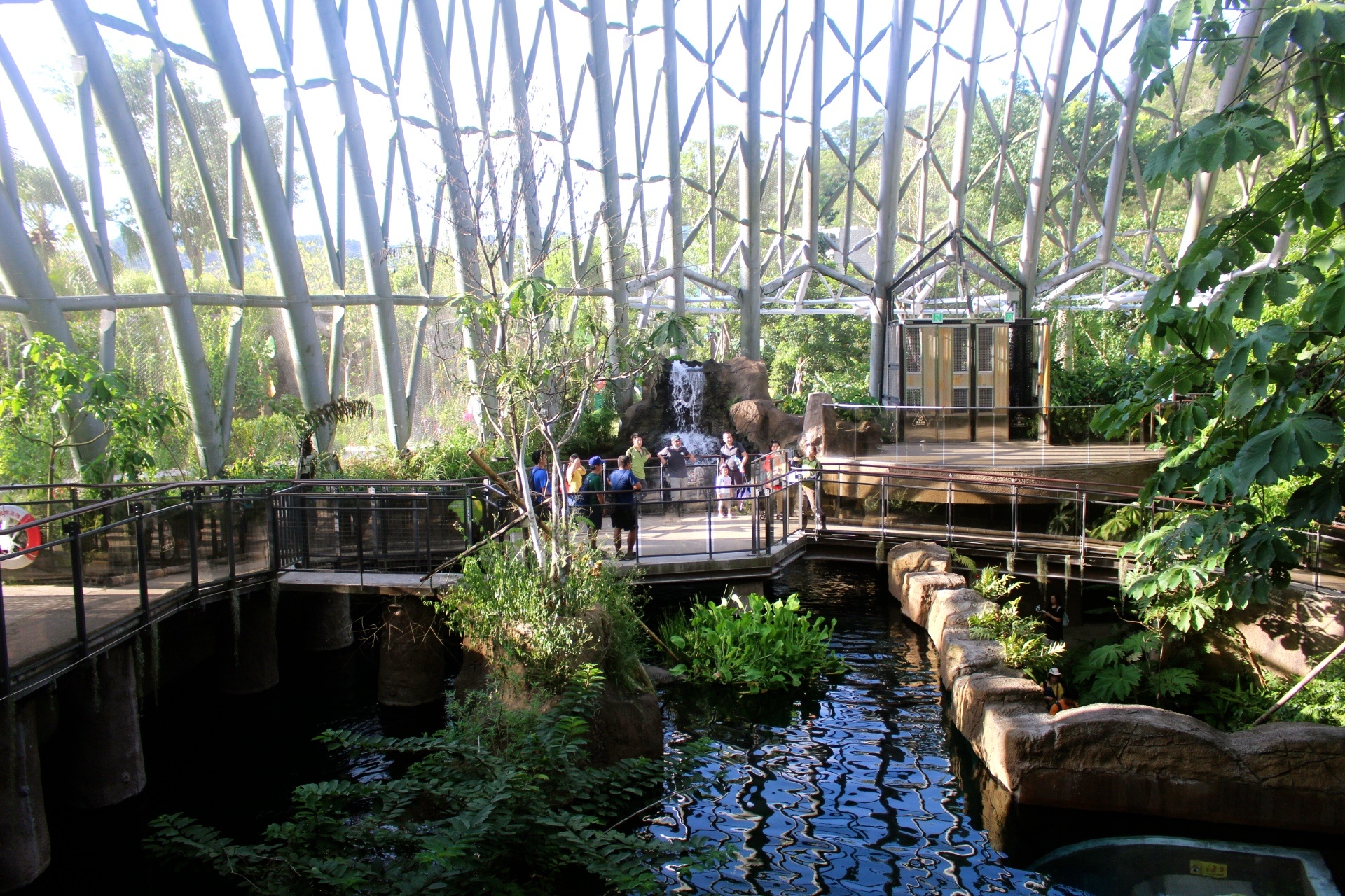 【台北 Taipei Zoo木柵動物園】暑期新館！經歷13年、斥資3.9億打造24公尺高「熱帶雨林」館，平日時間自由進出
