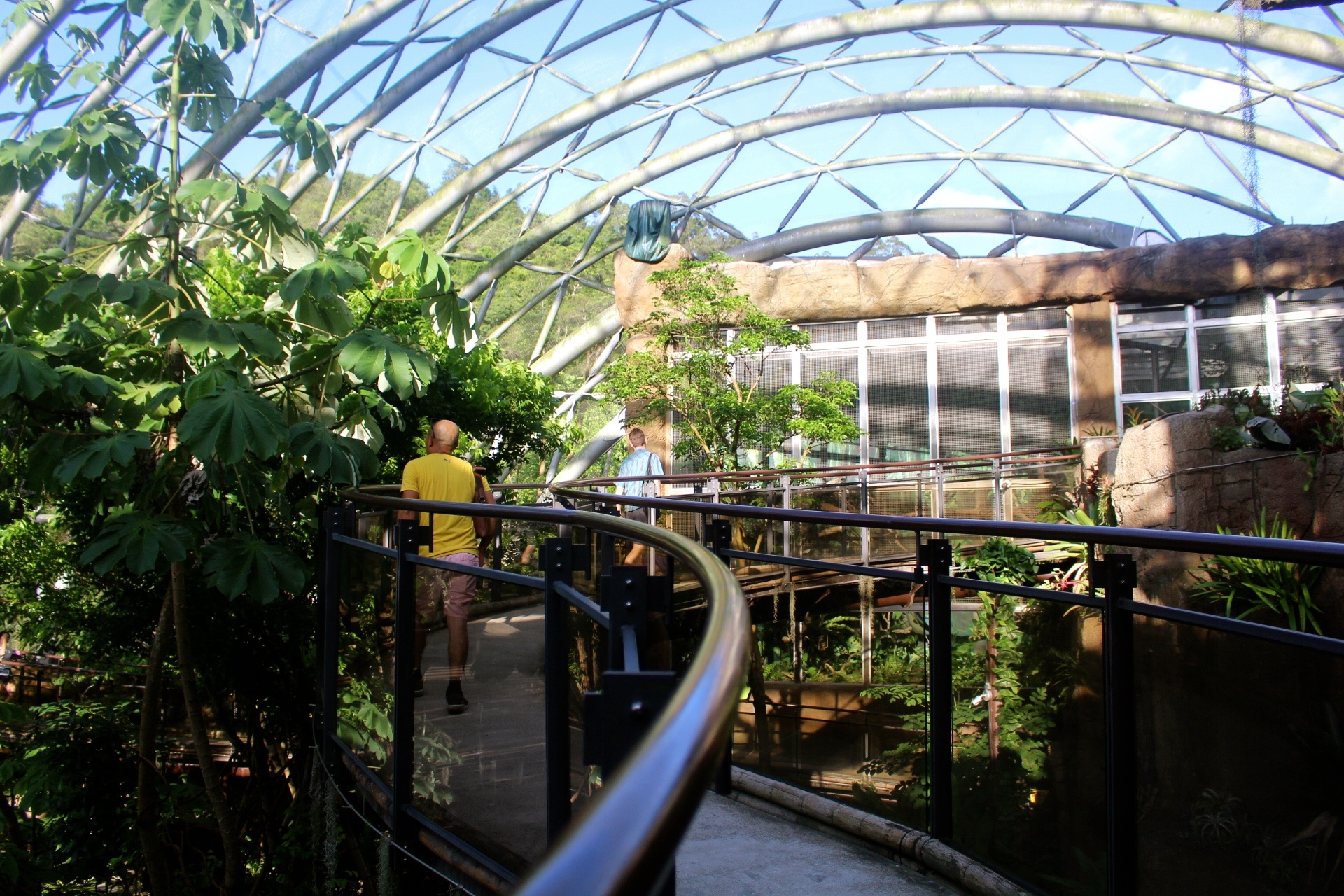 【台北 Taipei Zoo木柵動物園】暑期新館！經歷13年、斥資3.9億打造24公尺高「熱帶雨林」館，平日時間自由進出