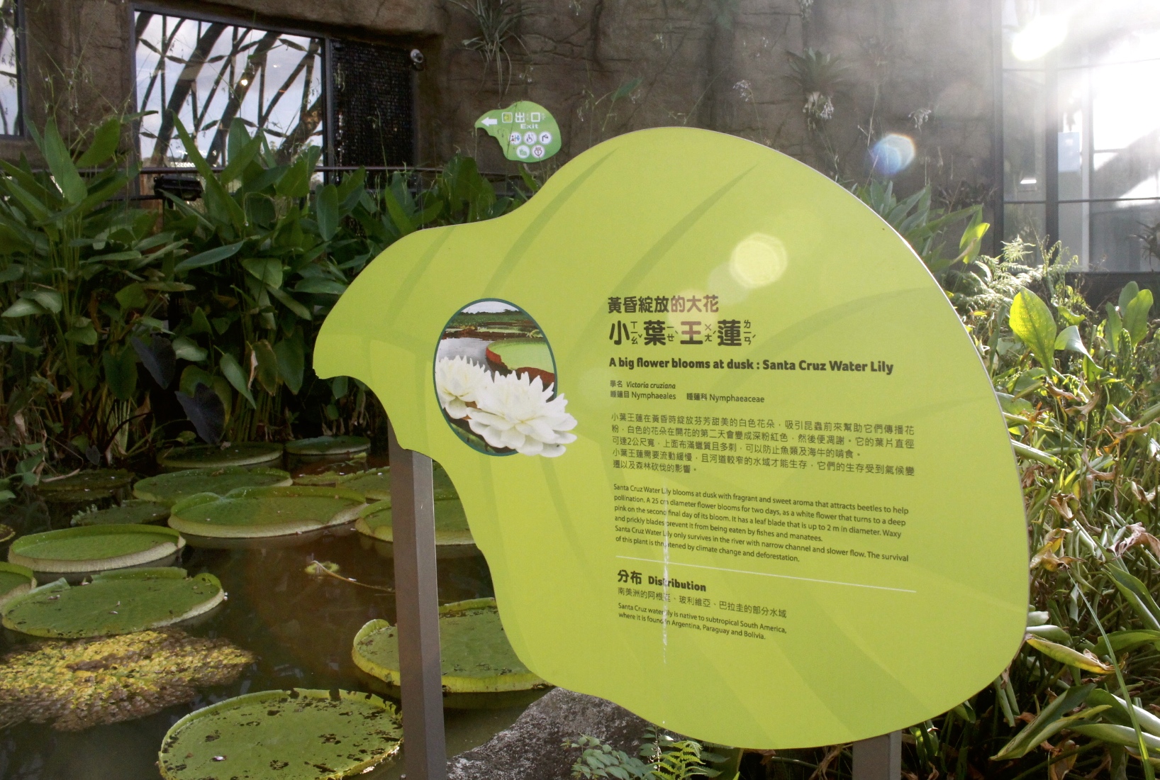 【台北 Taipei Zoo木柵動物園】暑期新館！經歷13年、斥資3.9億打造24公尺高「熱帶雨林」館，平日時間自由進出