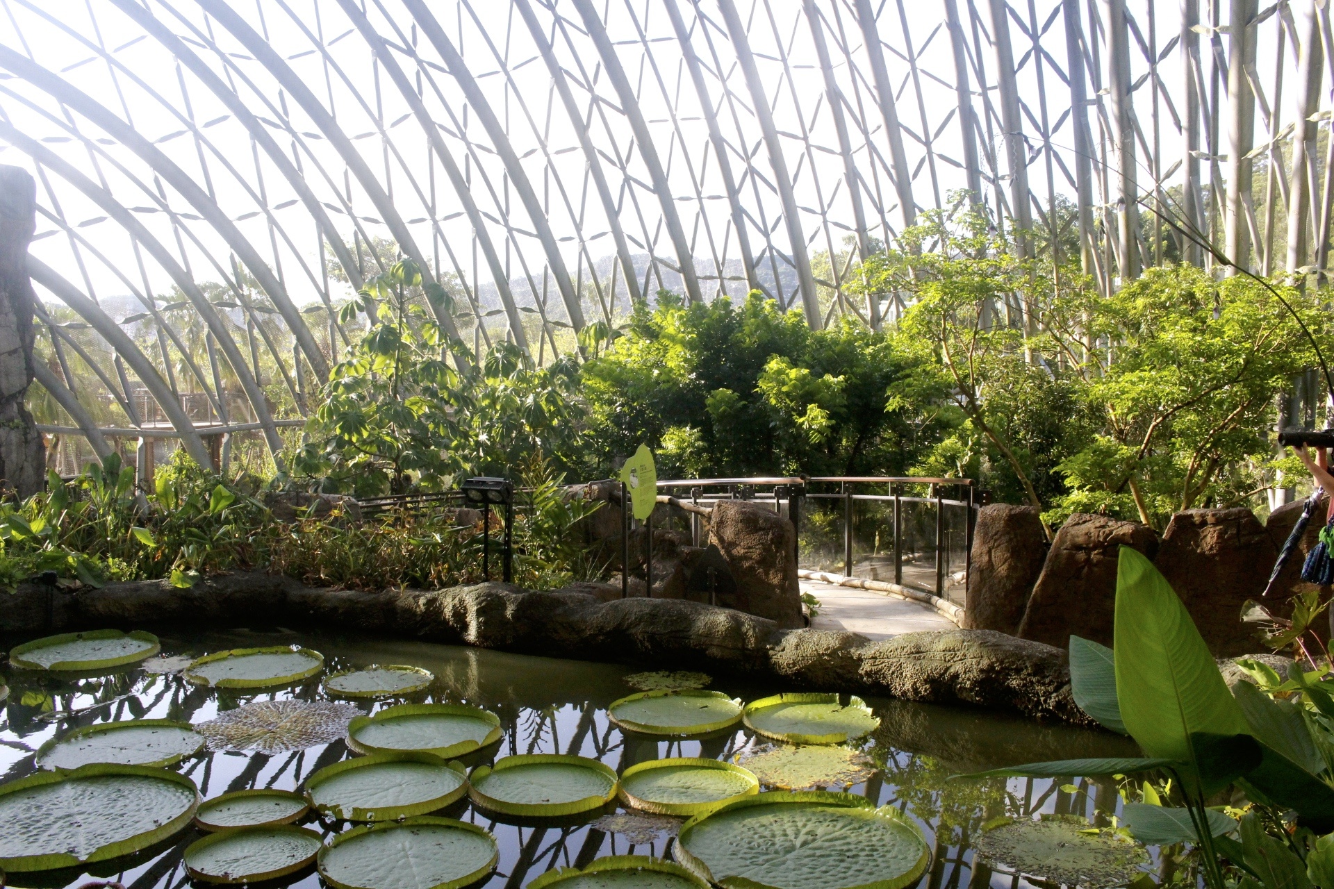 【台北 Taipei Zoo木柵動物園】暑期新館！經歷13年、斥資3.9億打造24公尺高「熱帶雨林」館，平日時間自由進出