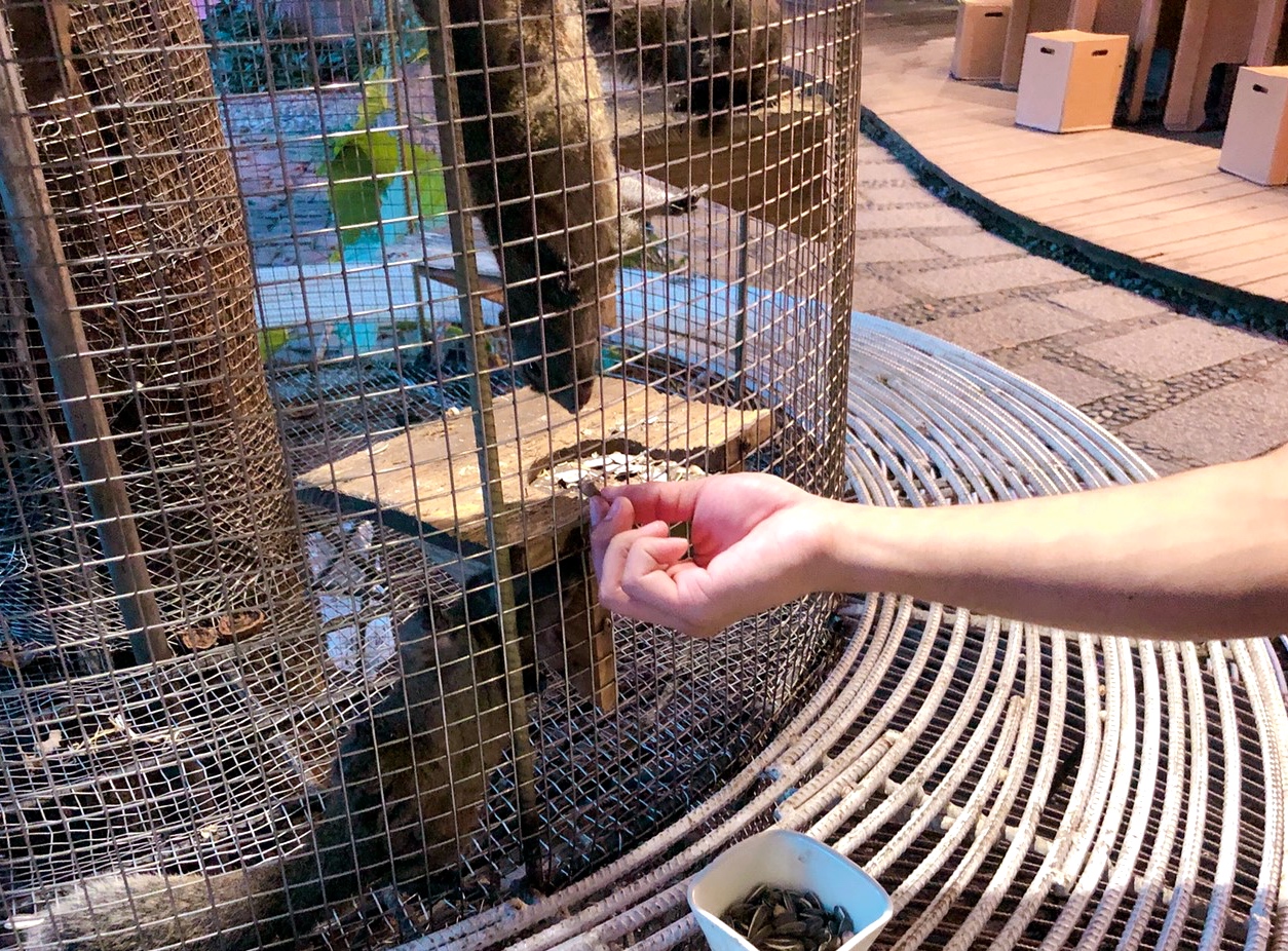 【台中 紙箱王創意園區】新玩法!鋼雕藝術么么空中步道、巨型蘑菇屋,還能體驗蒸氣造型紙火車! 【台中 紙箱王創意園區】新玩法!鋼雕藝術么么空中步道、巨型蘑菇屋,還能體驗蒸氣造型紙火車!