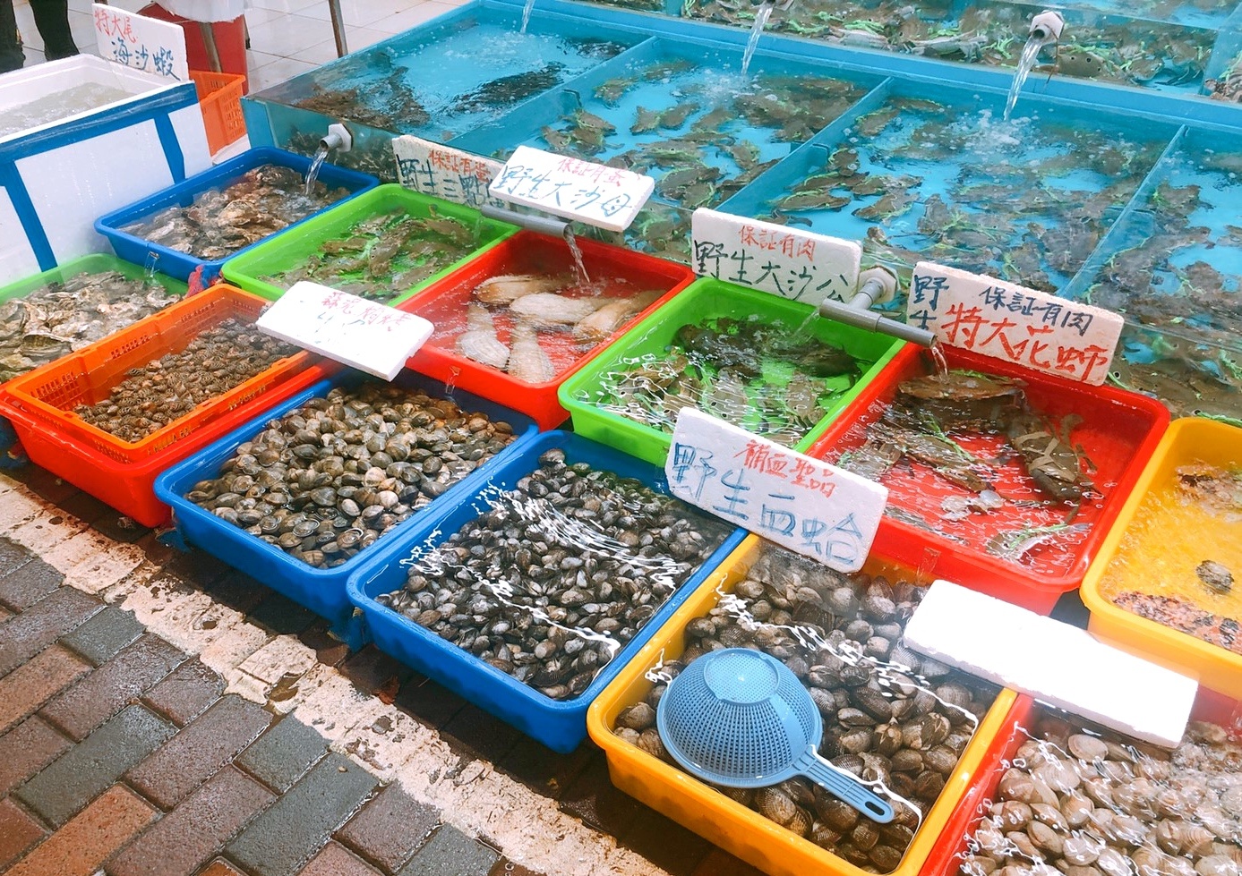 〖碧砂漁港〗尚青的海鮮就在這!現剖馬糞海膽、清蒸活體花蟹、沙蝦.吃飽繼續到廣場散步 〖碧砂漁港〗尚青的海鮮就在這!現剖馬糞海膽、清蒸活體花蟹、沙蝦.吃飽繼續到廣場散步