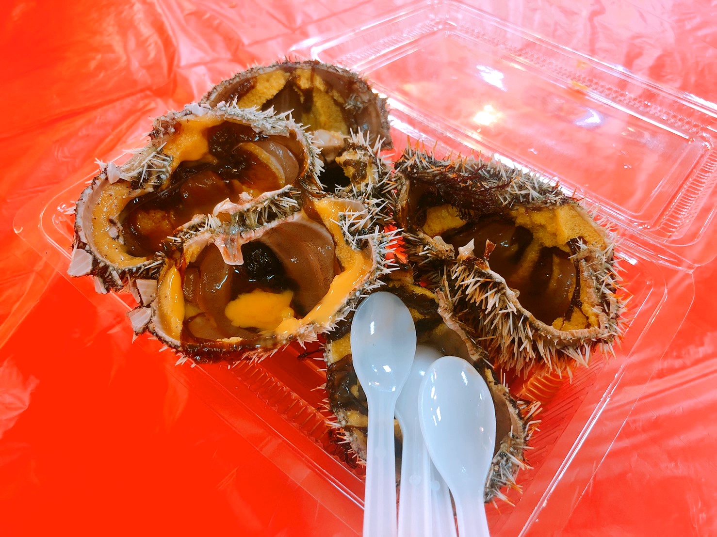 〖碧砂漁港〗尚青的海鮮就在這！現剖馬糞海膽、清蒸活體花蟹、沙蝦．吃飽繼續到廣場散步