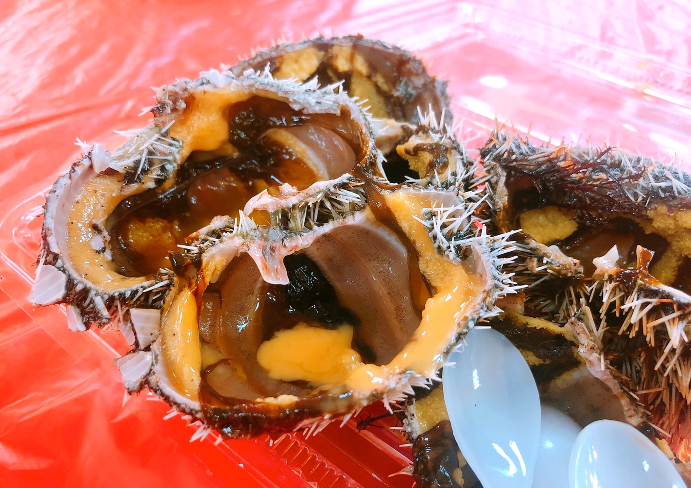〖碧砂漁港〗尚青的海鮮就在這!現剖馬糞海膽、清蒸活體花蟹、沙蝦.吃飽繼續到廣場散步 〖碧砂漁港〗尚青的海鮮就在這!現剖馬糞海膽、清蒸活體花蟹、沙蝦.吃飽繼續到廣場散步