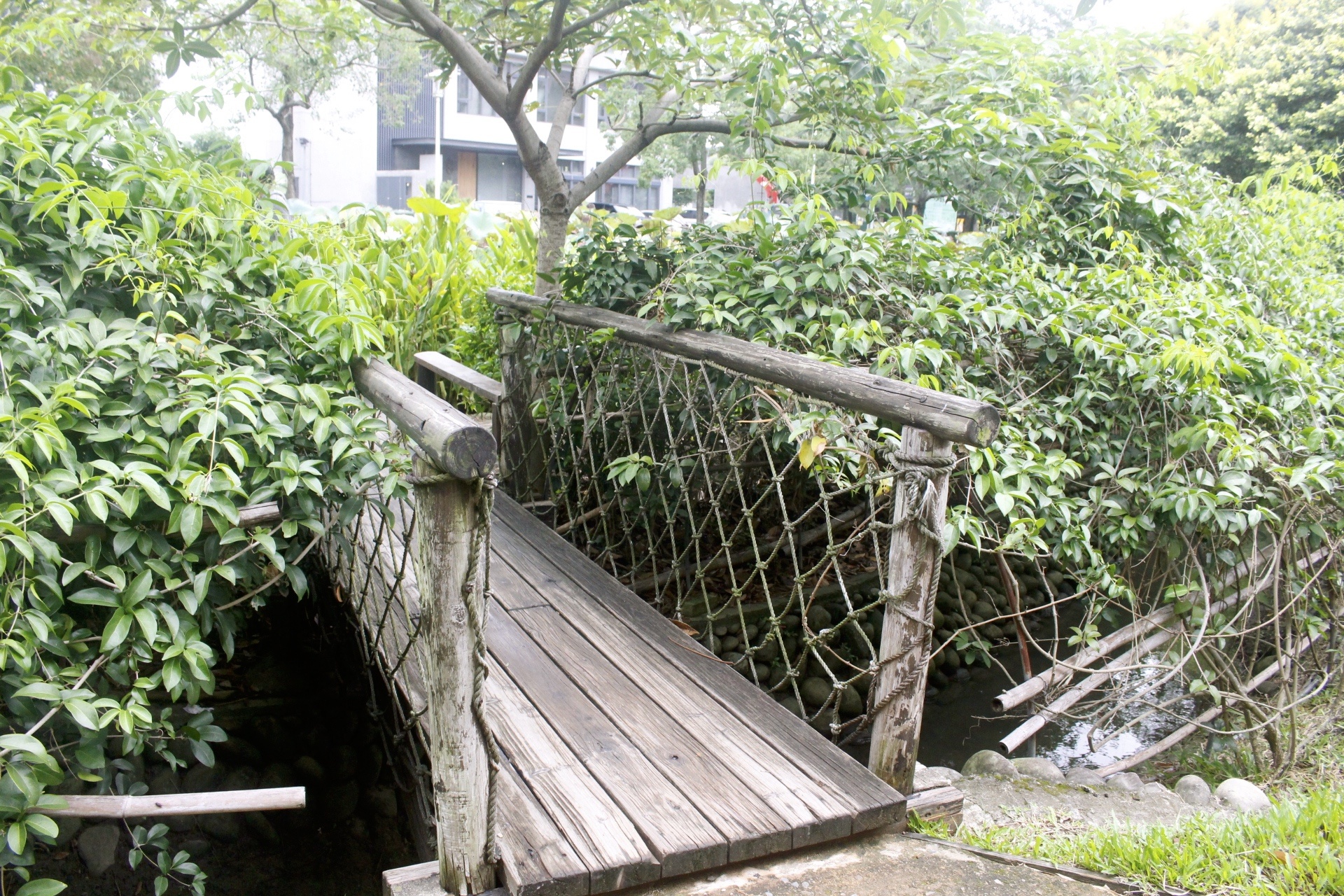 【遊 新瓦屋客家文化保存區】兩百多年歷史客家聚落。免費景點！假日還有定時導覽（附設收費停車場）
