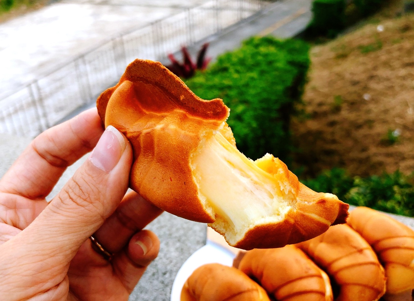 三峽美食,新北美食,三峽老街三峽公有市場,月珍香大腸圈,米齊粑,來來麻糬,98雞蛋糕,真本家,福美軒餅舖,清水冬瓜王,禾乃川國產豆製所,森木坊古早冰,庶民美術館,在心蛋餅舖,麥維婷脆皮烤鴨李溪口黑豬肉香腸,GUHill好適山坡,河南砂鍋手工扯麵,焱馬號皇后大道 現烤土雞,脆皮豬,大同橋甕仔雞,好滋味土雞莊,樂源仙境土雞城,鄭記豬血糕,九鬮香腸,松柏園餃子館,台灣小吃,下午茶,土雞城,八條壽司,日本料理,老街小吃,三峽懶人包,懶人包,池家肉圓,好命Homie 日式洋食 餐酒館 三峽美食,新北美食,三峽老街三峽公有市場,月珍香大腸圈,米齊粑,來來麻糬,98雞蛋糕,真本家,福美軒餅舖,清水冬瓜王,禾乃川國產豆製所,森木坊古早冰,庶民美術館,在心蛋餅舖,麥維婷脆皮烤鴨李溪口黑豬肉香腸,GUHill好適山坡,河南砂鍋手工扯麵,焱馬號皇后大道 現烤土雞,脆皮豬,大同橋甕仔雞,好滋味土雞莊,樂源仙境土雞城,鄭記豬血糕,九鬮香腸,松柏園餃子館,台灣小吃,下午茶,土雞城,八條壽司,日本料理,老街小吃,三峽懶人包,懶人包,池家肉圓,好命Homie 日式洋食 餐酒館