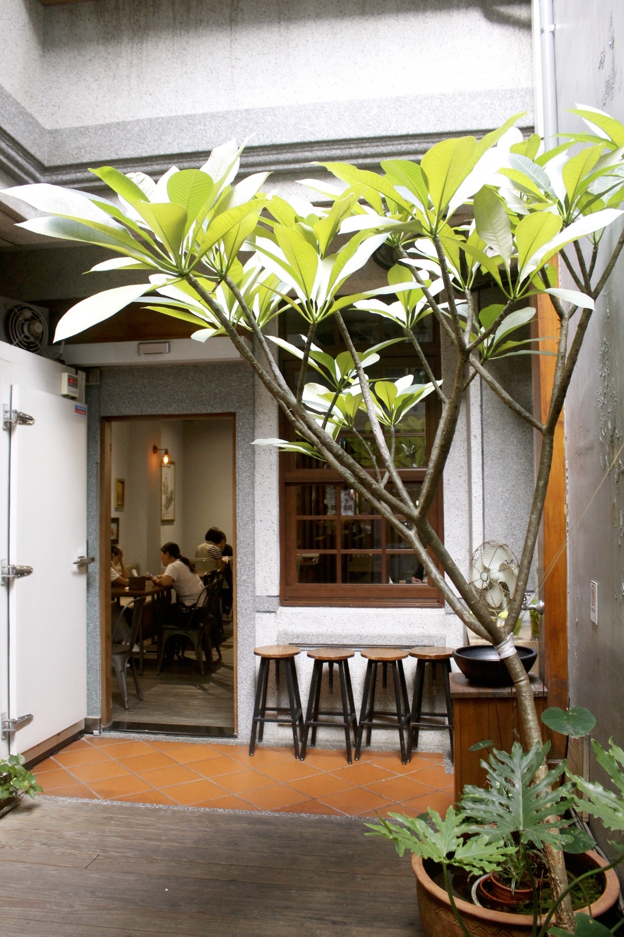 【食 枝仔冰城】高雄旗山90年老店「大稻埕」也吃得到。阿嬤手工四色湯圓、古早味清冰都好吃
