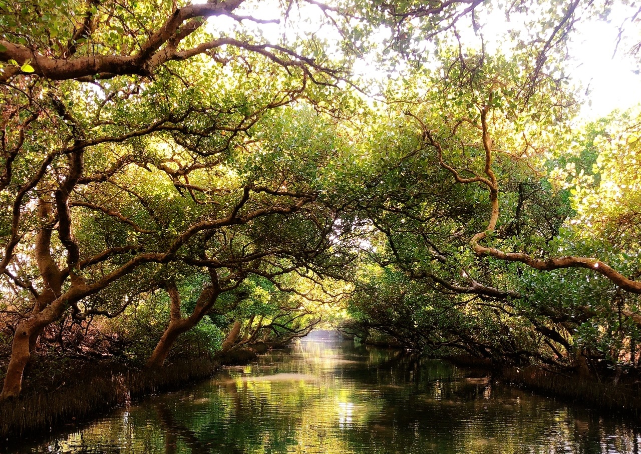 四草綠色隧道，抹香鯨博物館，台南景點