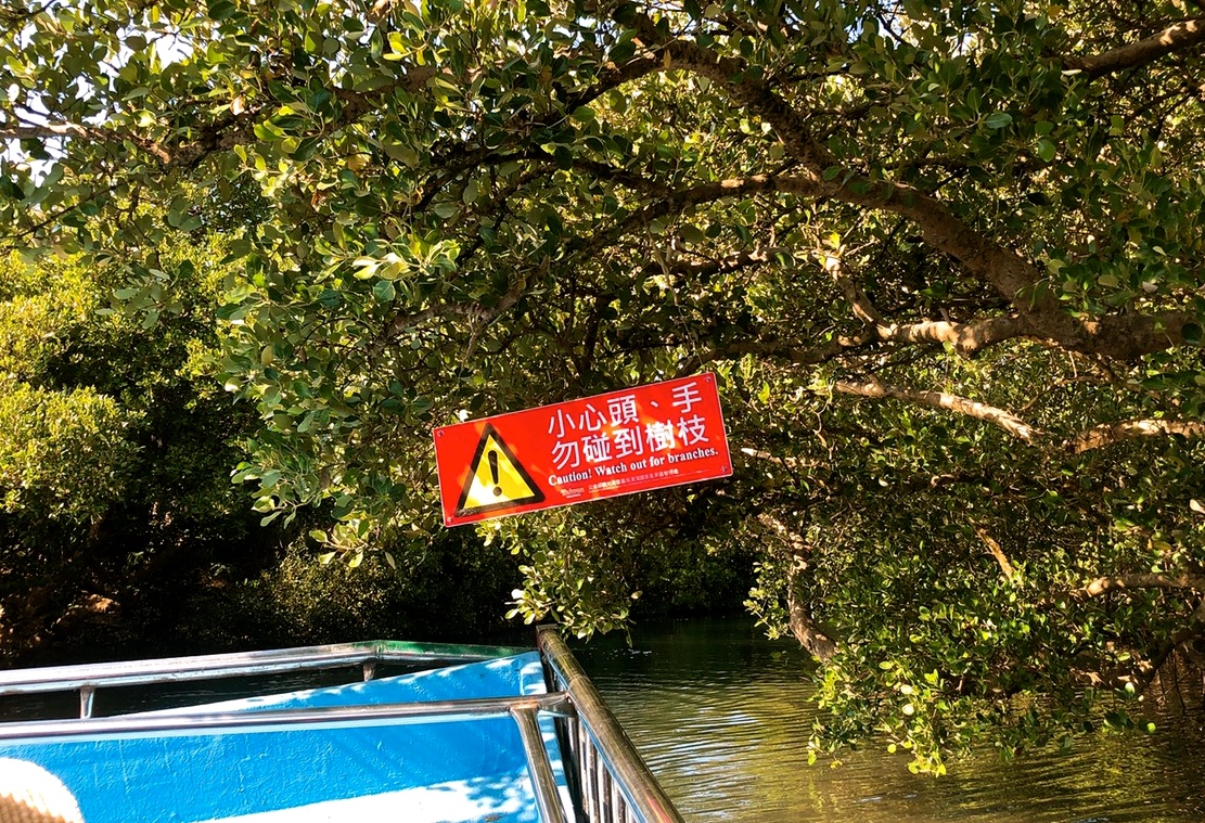 四草綠色隧道，抹香鯨博物館，台南景點