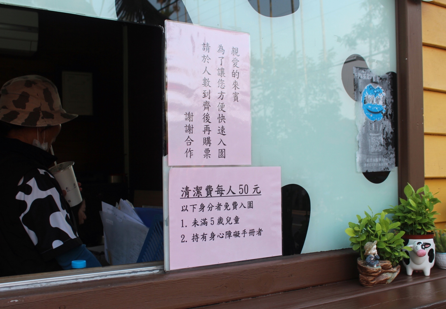 【玩 綠盈牧場】50元就能入園觀賞「全台唯一鵝賽場」！餵食山羊兔子、牧牛草原、牽牛花溜滑梯