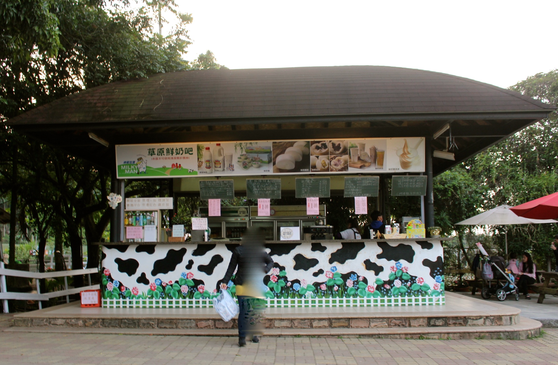 【玩 綠盈牧場】50元就能入園觀賞「全台唯一鵝賽場」！餵食山羊兔子、牧牛草原、牽牛花溜滑梯
