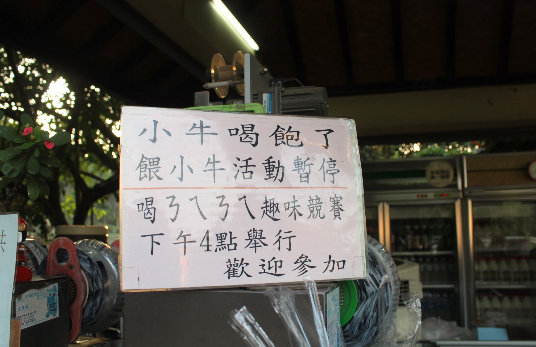 【玩 綠盈牧場】50元就能入園觀賞「全台唯一鵝賽場」!餵食山羊兔子、牧牛草原、牽牛花溜滑梯 【玩 綠盈牧場】50元就能入園觀賞「全台唯一鵝賽場」!餵食山羊兔子、牧牛草原、牽牛花溜滑梯