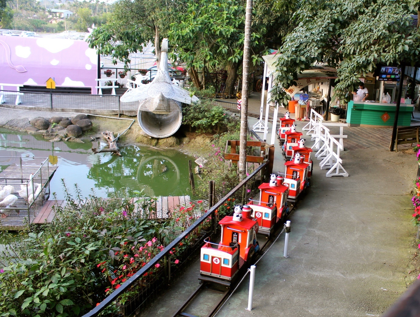 【玩 綠盈牧場】50元就能入園觀賞「全台唯一鵝賽場」!餵食山羊兔子、牧牛草原、牽牛花溜滑梯 【玩 綠盈牧場】50元就能入園觀賞「全台唯一鵝賽場」!餵食山羊兔子、牧牛草原、牽牛花溜滑梯