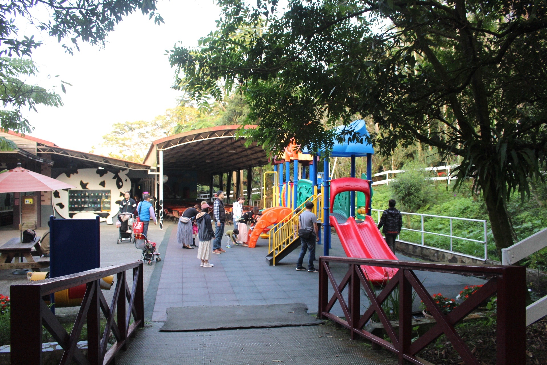 【玩 綠盈牧場】50元就能入園觀賞「全台唯一鵝賽場」!餵食山羊兔子、牧牛草原、牽牛花溜滑梯 【玩 綠盈牧場】50元就能入園觀賞「全台唯一鵝賽場」!餵食山羊兔子、牧牛草原、牽牛花溜滑梯