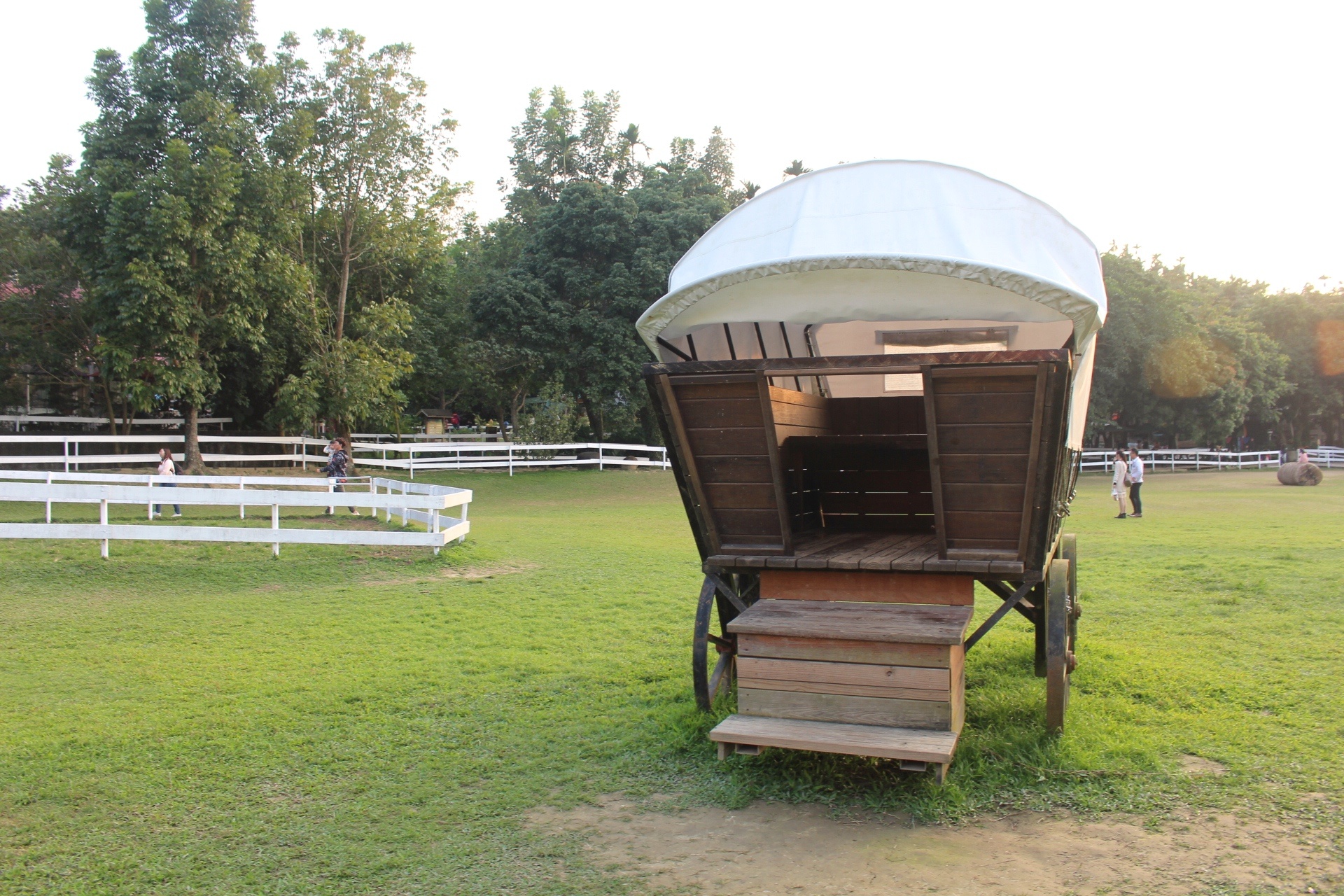 【玩 綠盈牧場】50元就能入園觀賞「全台唯一鵝賽場」!餵食山羊兔子、牧牛草原、牽牛花溜滑梯 【玩 綠盈牧場】50元就能入園觀賞「全台唯一鵝賽場」!餵食山羊兔子、牧牛草原、牽牛花溜滑梯