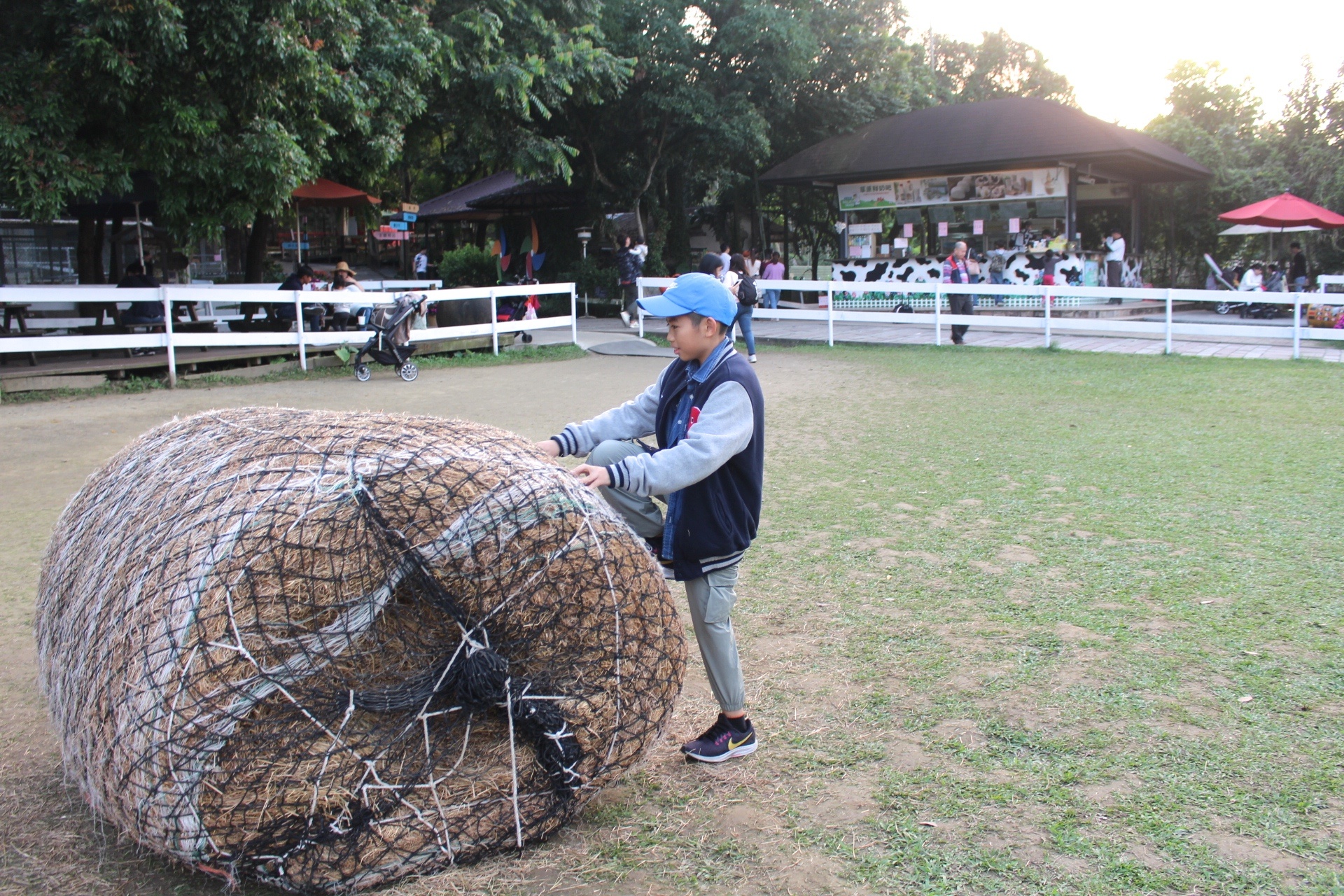 【玩 綠盈牧場】50元就能入園觀賞「全台唯一鵝賽場」!餵食山羊兔子、牧牛草原、牽牛花溜滑梯 【玩 綠盈牧場】50元就能入園觀賞「全台唯一鵝賽場」!餵食山羊兔子、牧牛草原、牽牛花溜滑梯