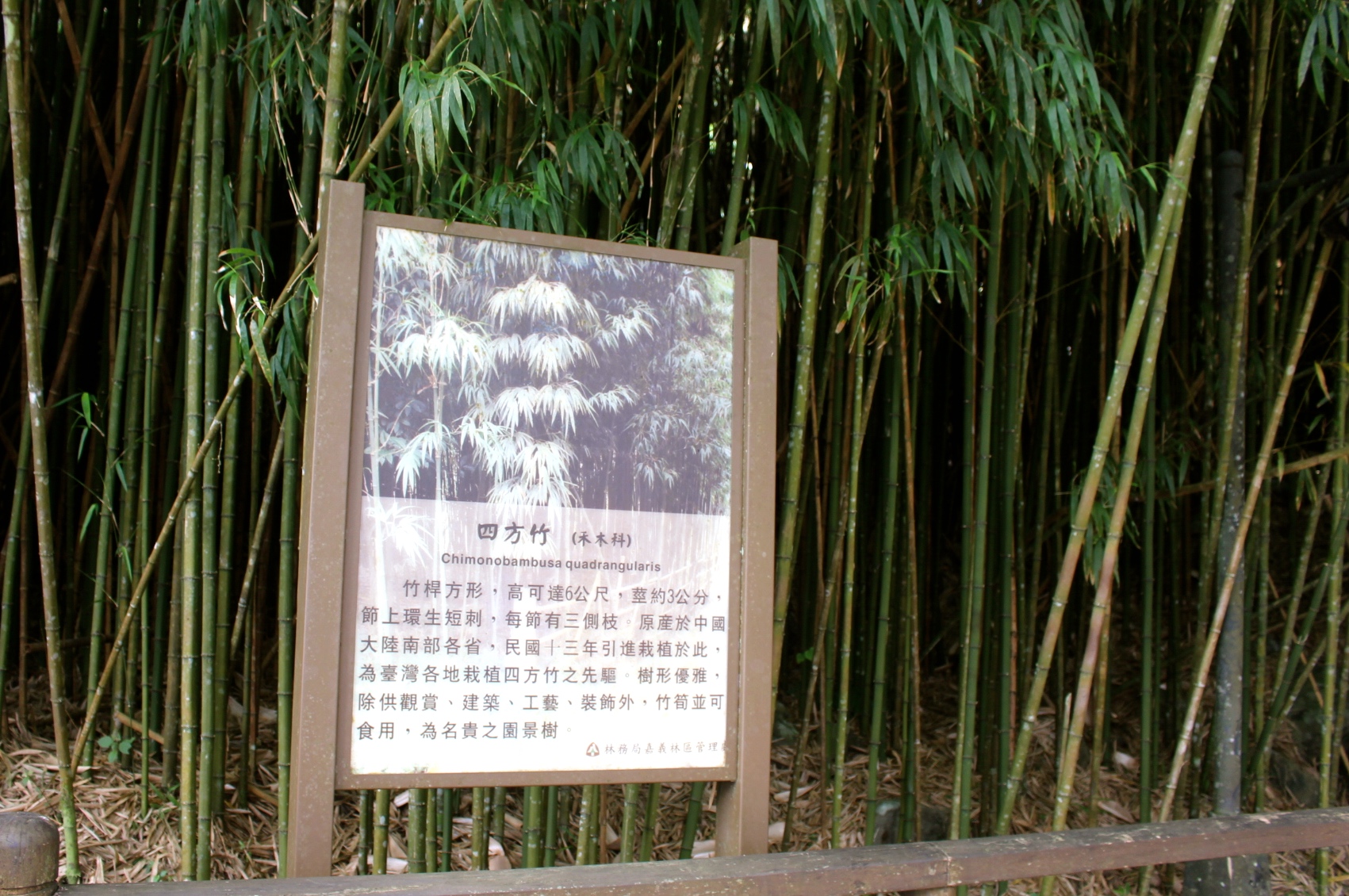 大家都來這條老街吃便當!一般便當還不行,就是要白鐵弁当才夠味!家傳80年雙主菜便當好澎湃~ 大家都來這條老街吃便當!一般便當還不行,就是要白鐵弁当才夠味!家傳80年雙主菜便當好澎湃~