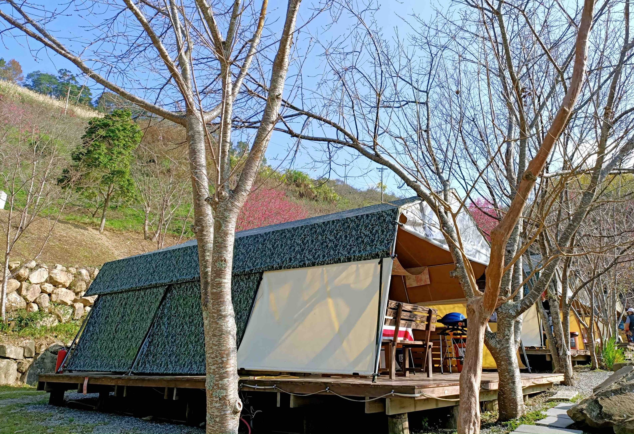 泰安仙境，露營聖地，苗栗景點，住宿推薦