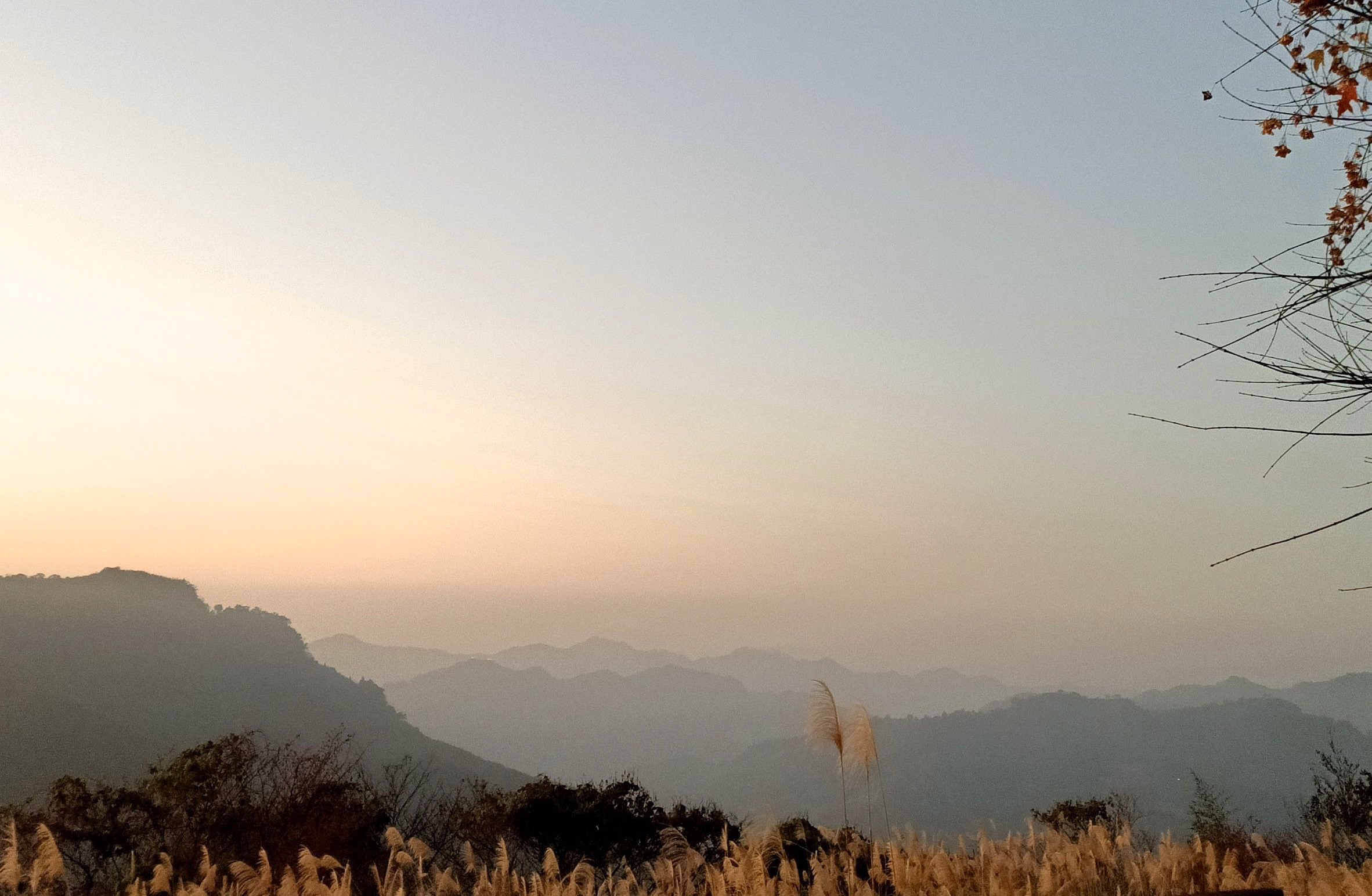 泰安仙境，露營聖地，苗栗景點，住宿推薦