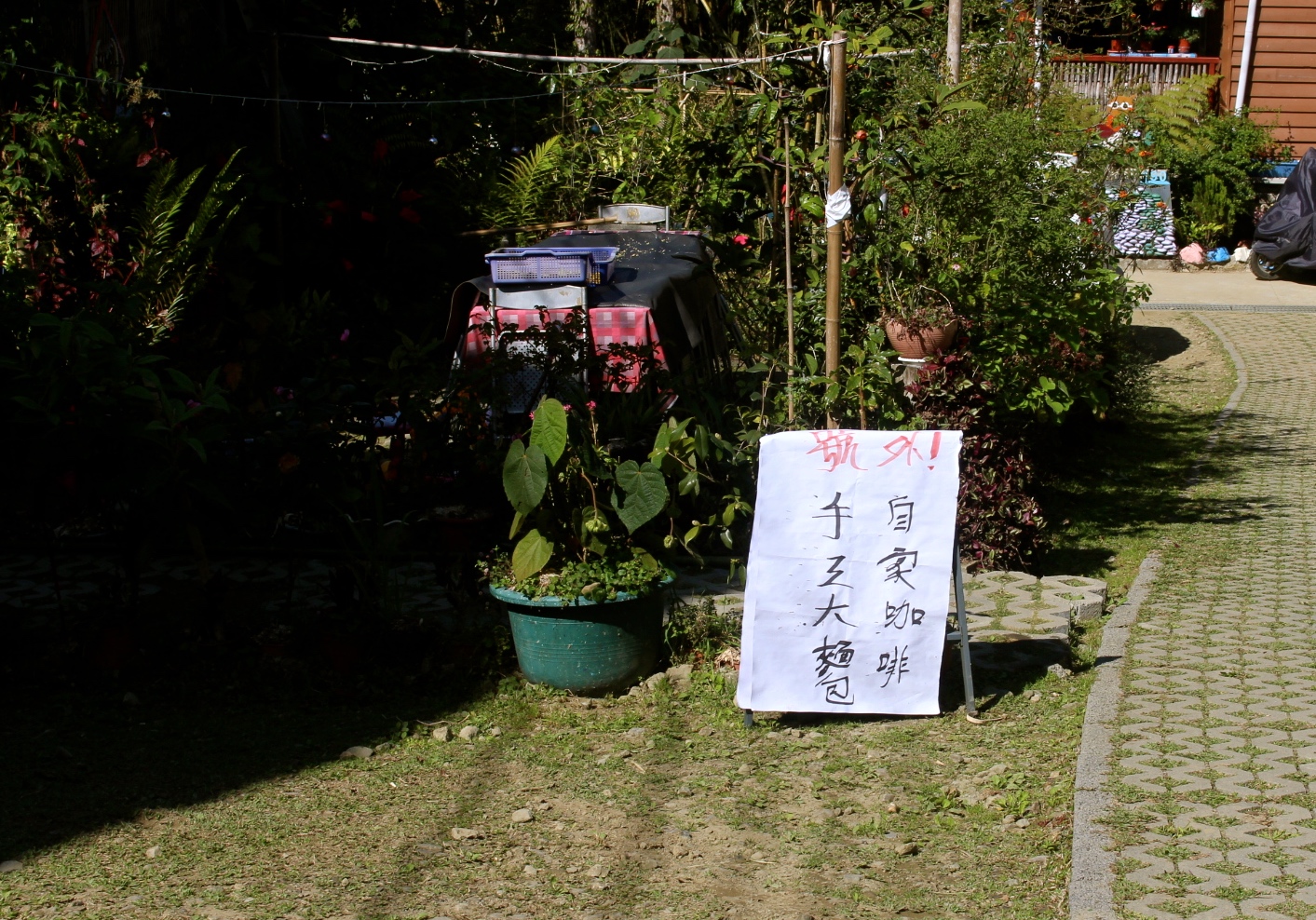 【遊 都恩亞納】遺落的深山秘境!海拔1400公尺的台版小合掌村「鄒族部落」 【遊 都恩亞納】遺落的深山秘境!海拔1400公尺的台版小合掌村「鄒族部落」