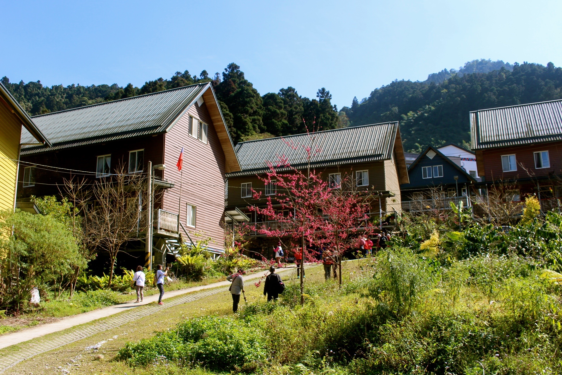 【遊 都恩亞納】遺落的深山秘境!海拔1400公尺的台版小合掌村「鄒族部落」 【遊 都恩亞納】遺落的深山秘境!海拔1400公尺的台版小合掌村「鄒族部落」