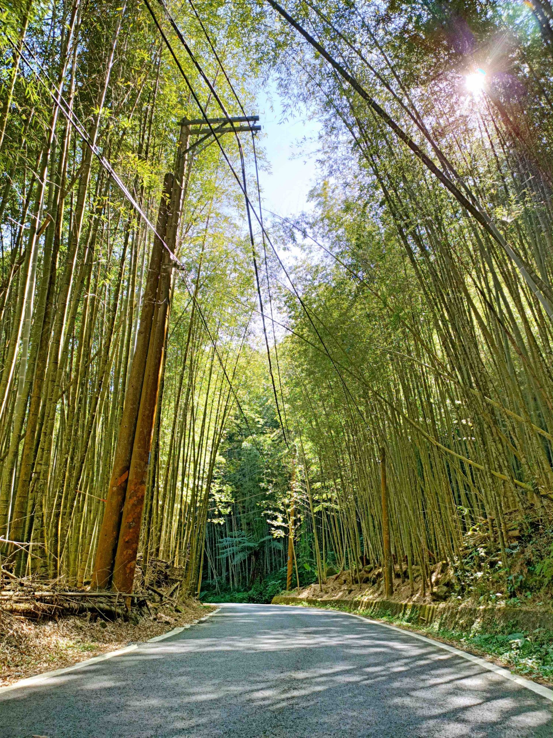 【遊 都恩亞納】遺落的深山秘境!海拔1400公尺的台版小合掌村「鄒族部落」 【遊 都恩亞納】遺落的深山秘境!海拔1400公尺的台版小合掌村「鄒族部落」