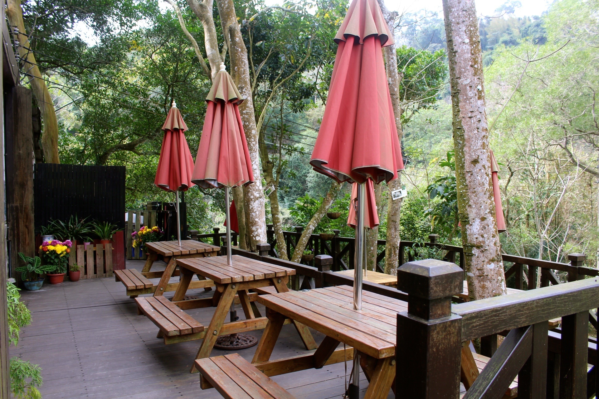 獅山歇心茶樓,巴巴坑道礦場,獅山遊客服務中心,聚餐,客家菜,新竹景點,新竹峨眉鄉,峨眉鄉餐廳,台灣小吃,控肉 獅山歇心茶樓,巴巴坑道礦場,獅山遊客服務中心,聚餐,客家菜,新竹景點,新竹峨眉鄉,峨眉鄉餐廳,台灣小吃,控肉