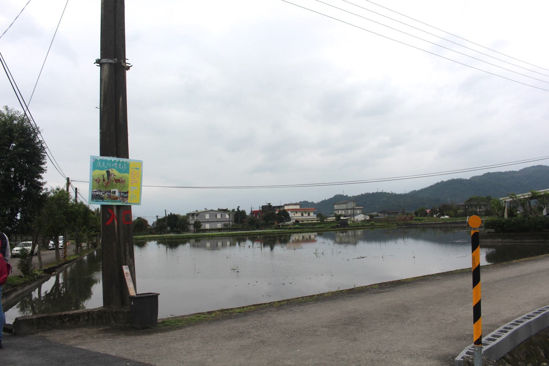 【玩 張美阿嬤農場】150元體驗餵鹿(含蔥油餅一份、暢飲有機紅茶)預約親子DIY體驗才能更有趣! 【玩 張美阿嬤農場】150元體驗餵鹿(含蔥油餅一份、暢飲有機紅茶)預約親子DIY體驗才能更有趣!