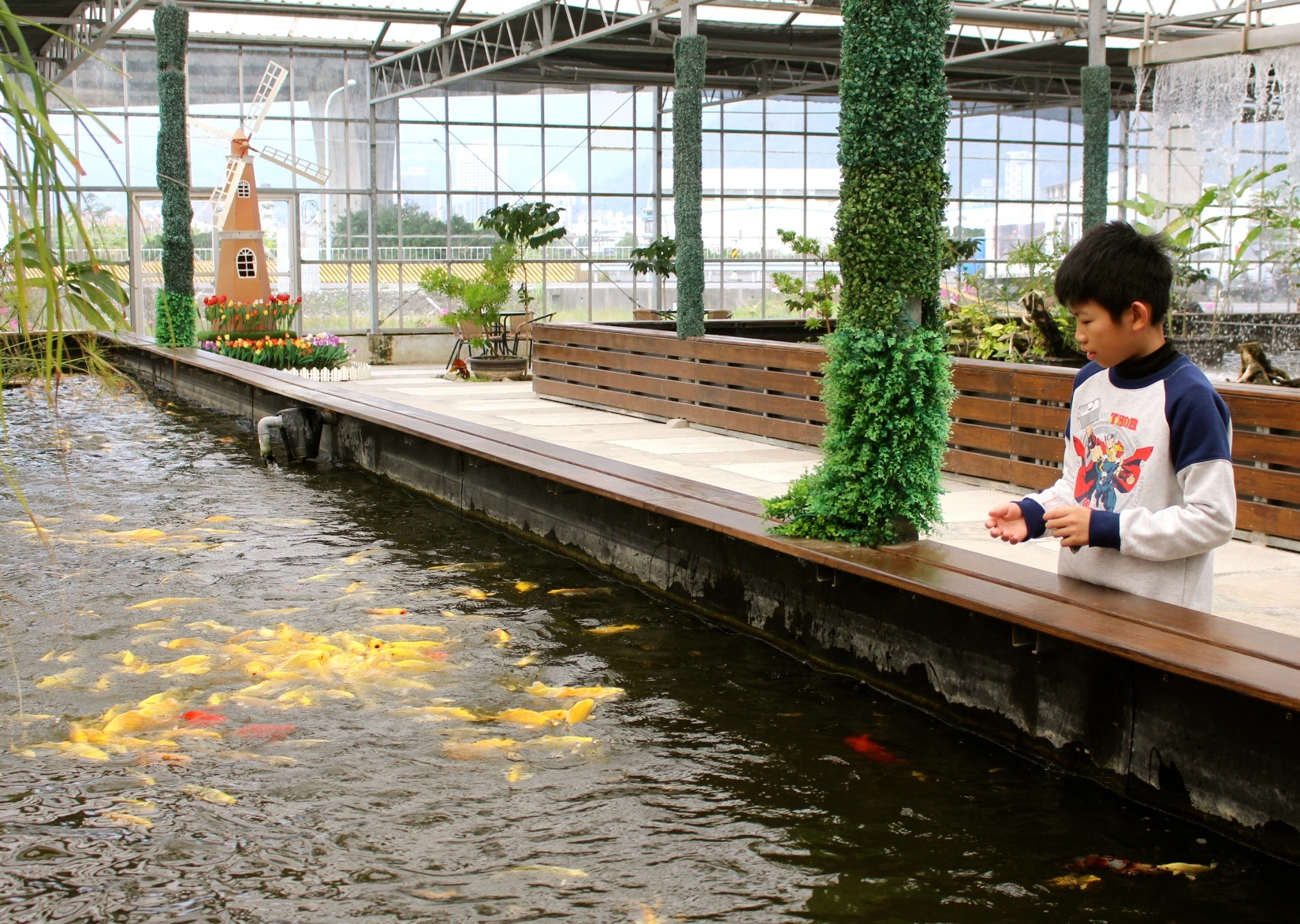 【遊 金車礁溪蘭花園】全年無休+免費入場！超大水生植物區可餵食錦鯉，附設草皮兒童區、仙人掌蘭花區(雨天備案）