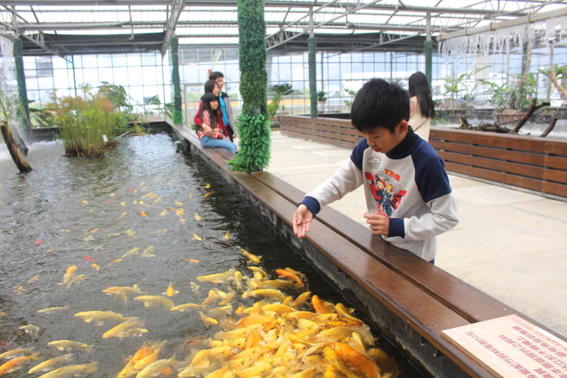 【遊 金車礁溪蘭花園】全年無休+免費入場!超大水生植物區可餵食錦鯉,附設草皮兒童區、仙人掌蘭花區(雨天備案) 【遊 金車礁溪蘭花園】全年無休+免費入場!超大水生植物區可餵食錦鯉,附設草皮兒童區、仙人掌蘭花區(雨天備案)