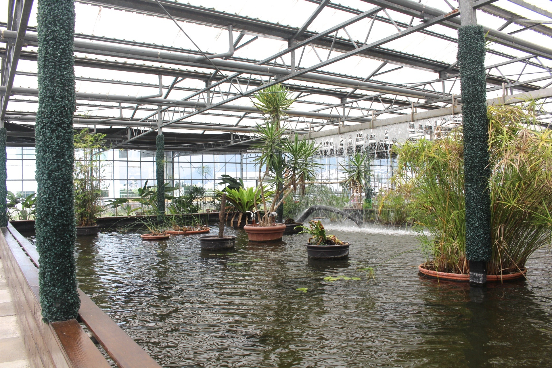 【遊 金車礁溪蘭花園】全年無休+免費入場!超大水生植物區可餵食錦鯉,附設草皮兒童區、仙人掌蘭花區(雨天備案) 【遊 金車礁溪蘭花園】全年無休+免費入場!超大水生植物區可餵食錦鯉,附設草皮兒童區、仙人掌蘭花區(雨天備案)