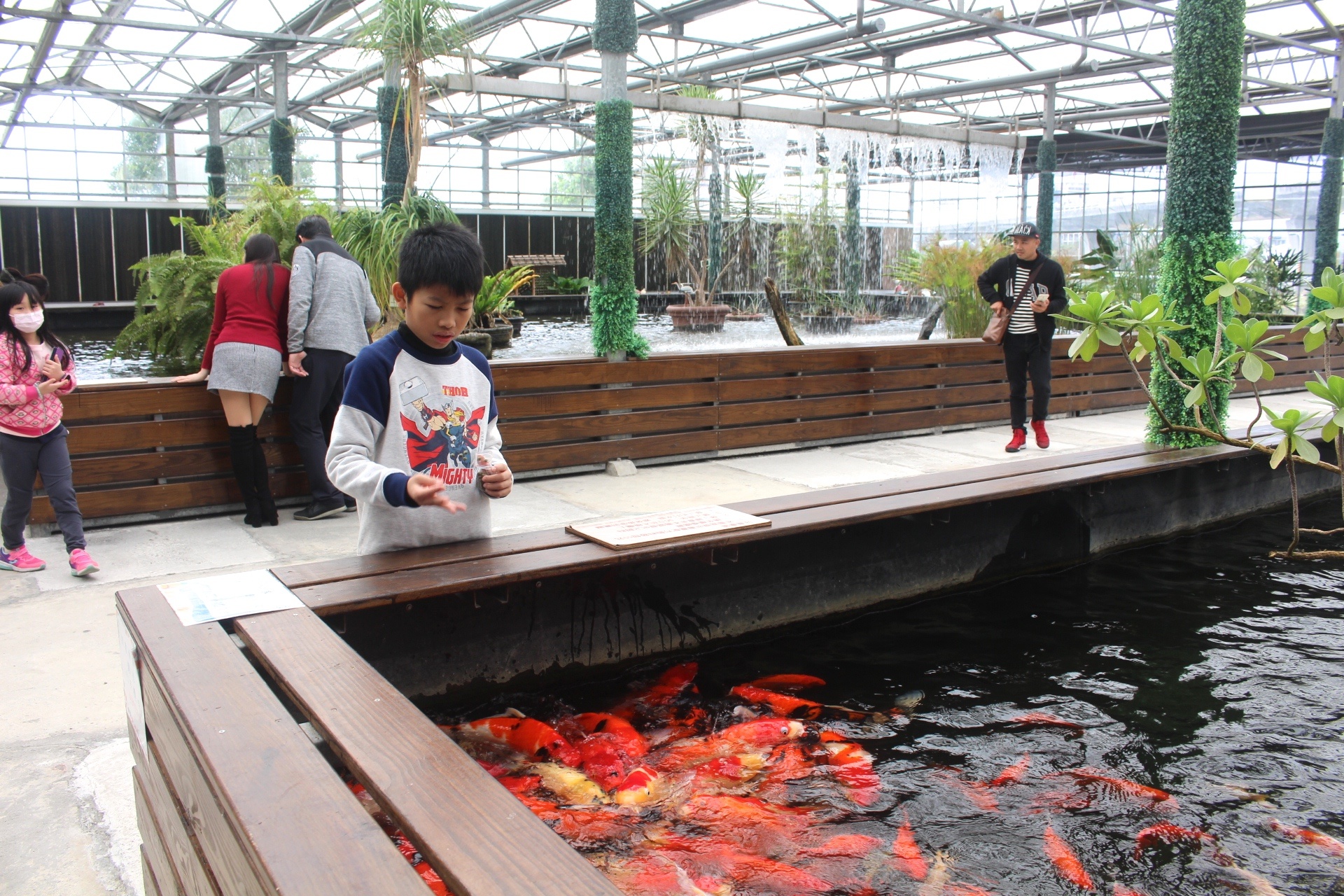 【遊 金車礁溪蘭花園】全年無休+免費入場!超大水生植物區可餵食錦鯉,附設草皮兒童區、仙人掌蘭花區(雨天備案) 【遊 金車礁溪蘭花園】全年無休+免費入場!超大水生植物區可餵食錦鯉,附設草皮兒童區、仙人掌蘭花區(雨天備案)