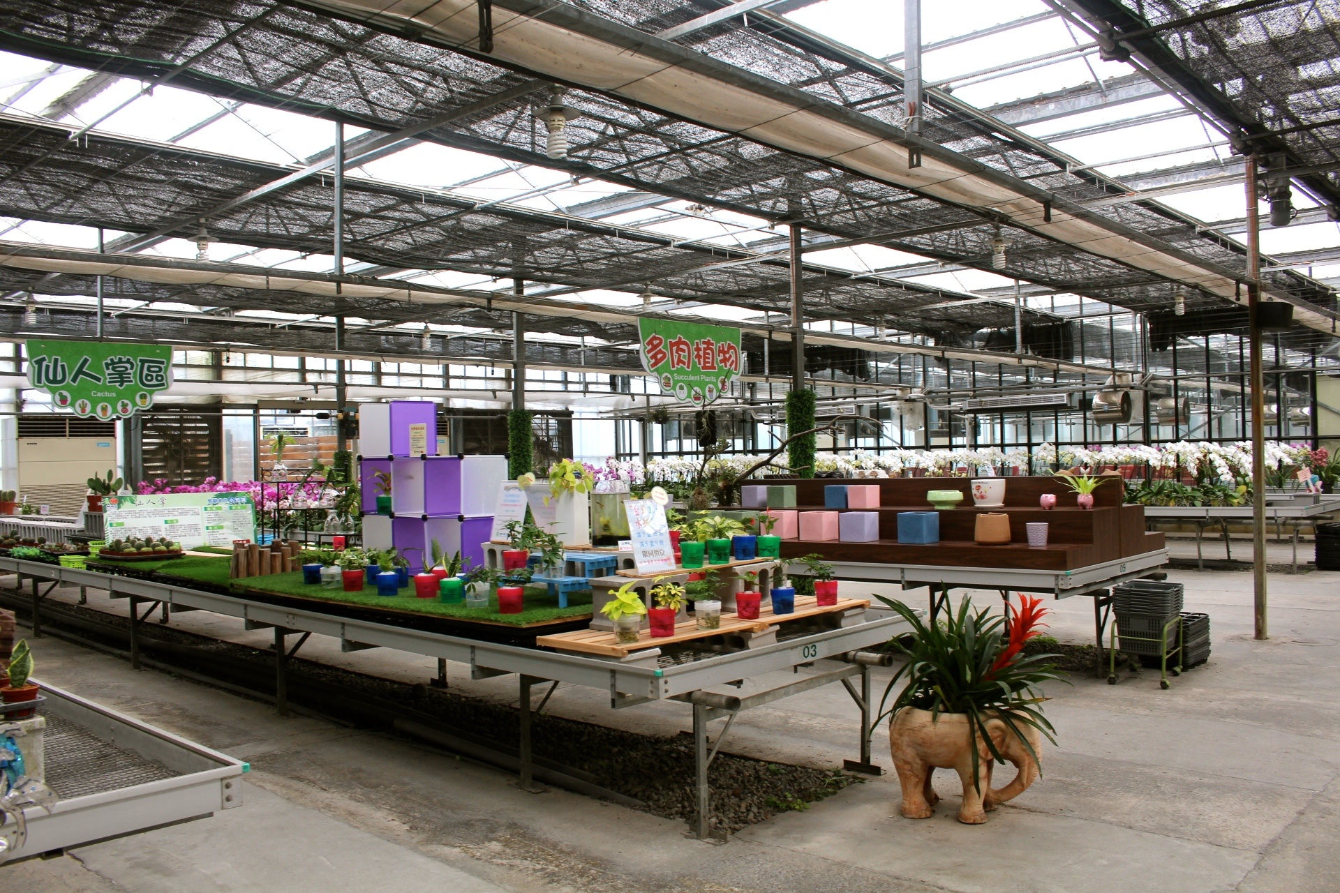 【遊 金車礁溪蘭花園】全年無休+免費入場!超大水生植物區可餵食錦鯉,附設草皮兒童區、仙人掌蘭花區(雨天備案) 【遊 金車礁溪蘭花園】全年無休+免費入場!超大水生植物區可餵食錦鯉,附設草皮兒童區、仙人掌蘭花區(雨天備案)