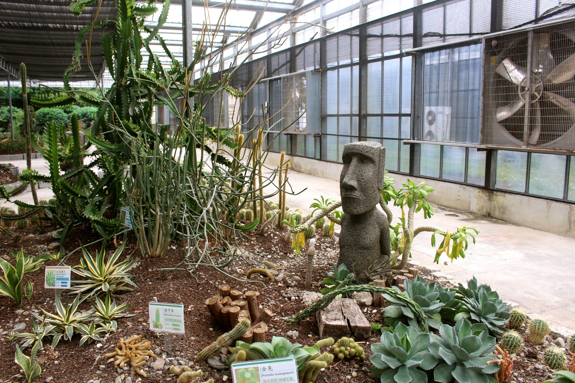 【遊 金車礁溪蘭花園】全年無休+免費入場!超大水生植物區可餵食錦鯉,附設草皮兒童區、仙人掌蘭花區(雨天備案) 【遊 金車礁溪蘭花園】全年無休+免費入場!超大水生植物區可餵食錦鯉,附設草皮兒童區、仙人掌蘭花區(雨天備案)