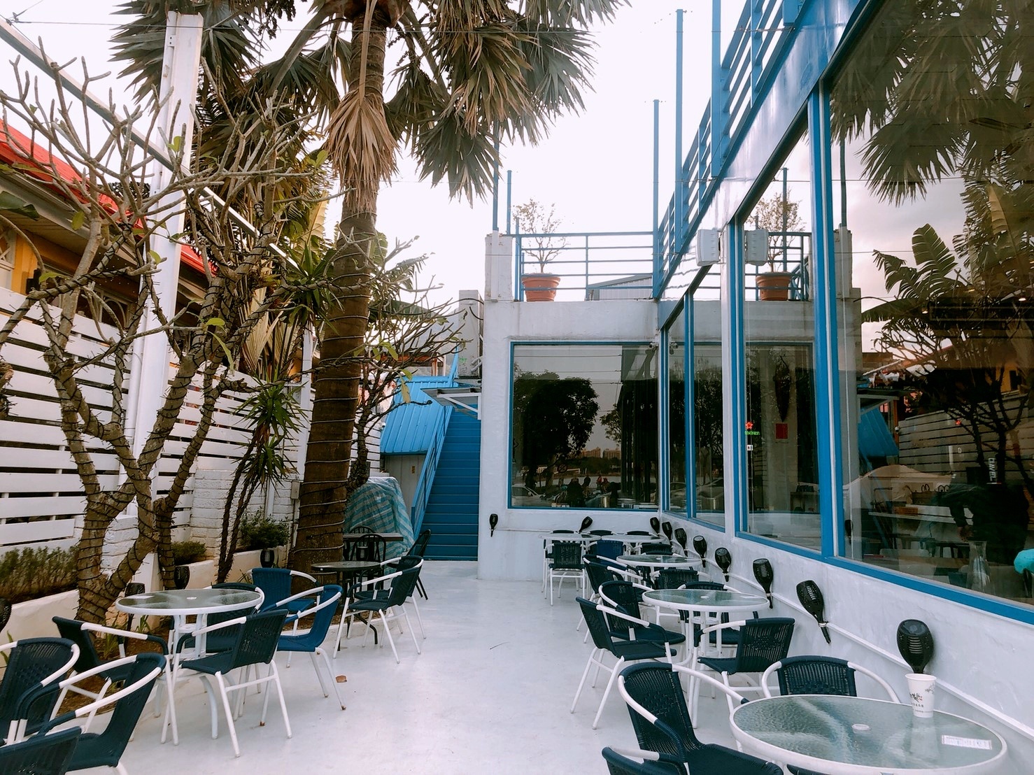 93 寵物咖啡複合餐飲,CREMA 93 CAFE,八里左岸
