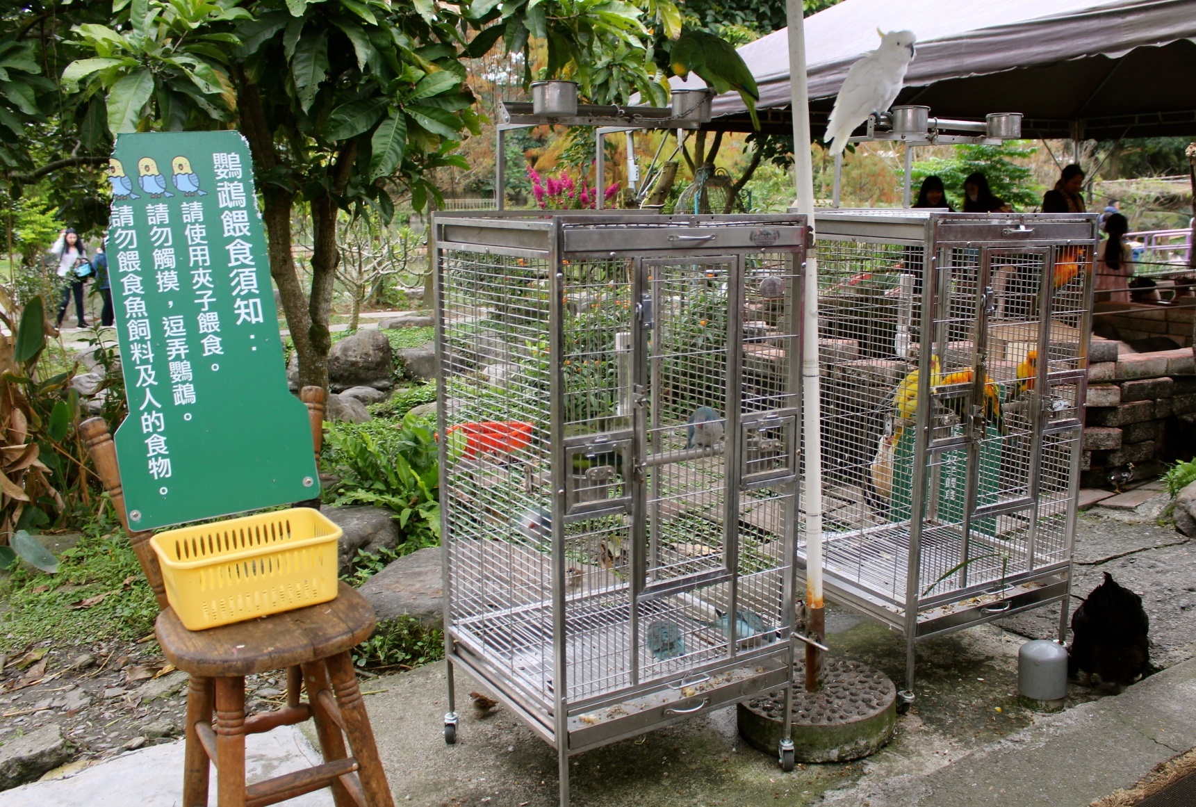 【玩 宜農牧場】30元誠實投幣入園.餵食五寶100元可以餵到八種小動物!不限時間、附設停車場 【玩 宜農牧場】30元誠實投幣入園.餵食五寶100元可以餵到八種小動物!不限時間、附設停車場