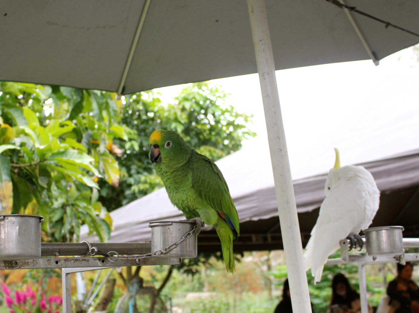 【玩 宜農牧場】30元誠實投幣入園.餵食五寶100元可以餵到八種小動物!不限時間、附設停車場 【玩 宜農牧場】30元誠實投幣入園.餵食五寶100元可以餵到八種小動物!不限時間、附設停車場