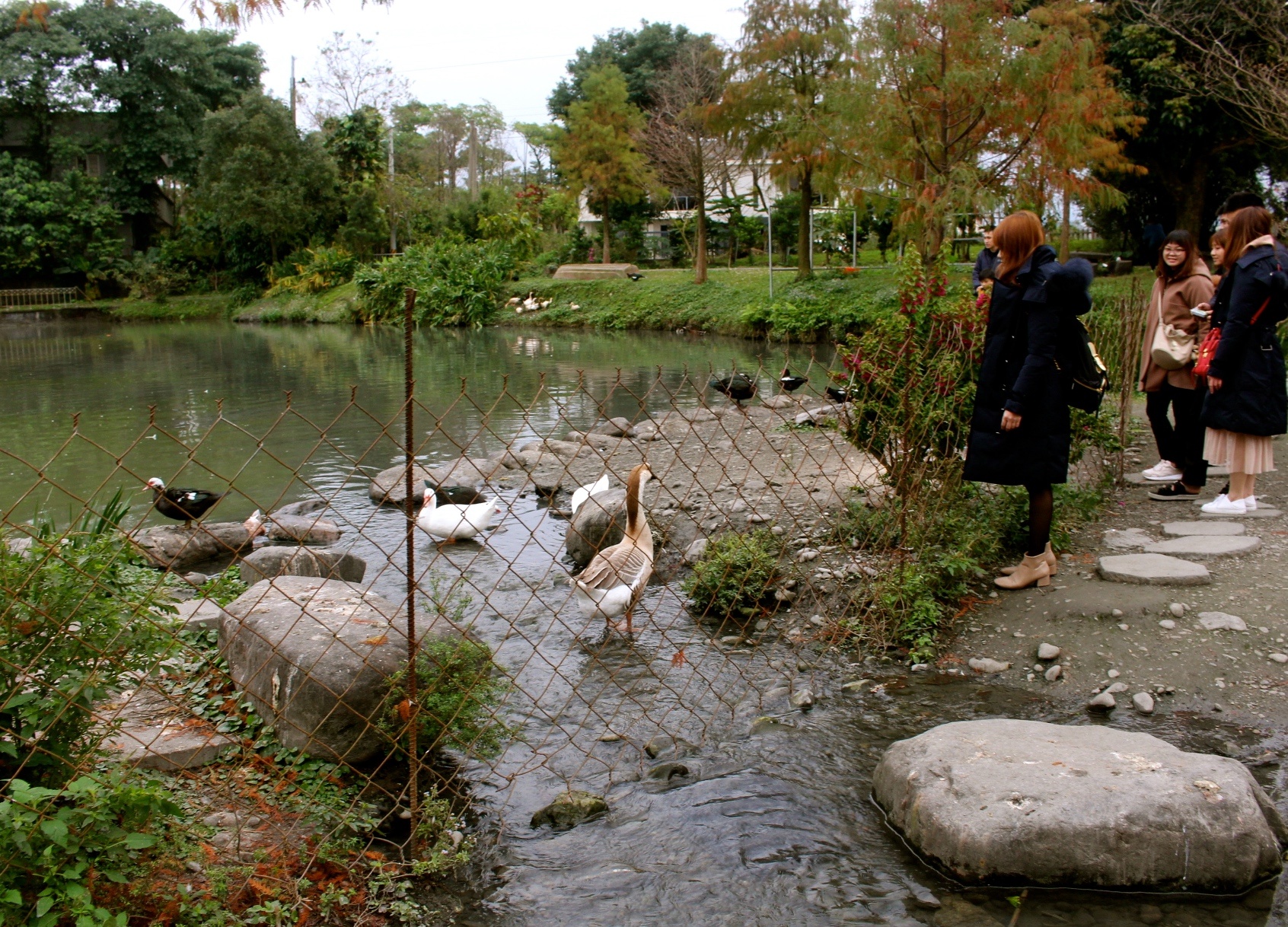 【玩 宜農牧場】30元誠實投幣入園.餵食五寶100元可以餵到八種小動物!不限時間、附設停車場 【玩 宜農牧場】30元誠實投幣入園.餵食五寶100元可以餵到八種小動物!不限時間、附設停車場
