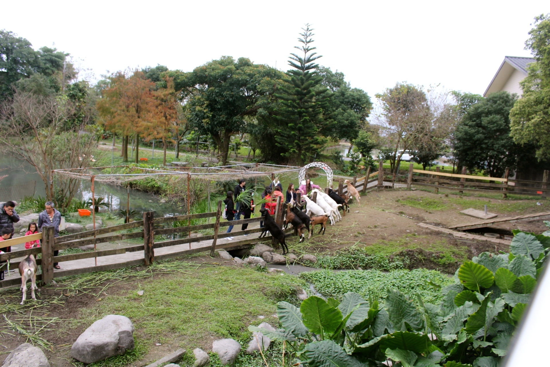 【玩 宜農牧場】30元誠實投幣入園.餵食五寶100元可以餵到八種小動物!不限時間、附設停車場 【玩 宜農牧場】30元誠實投幣入園.餵食五寶100元可以餵到八種小動物!不限時間、附設停車場
