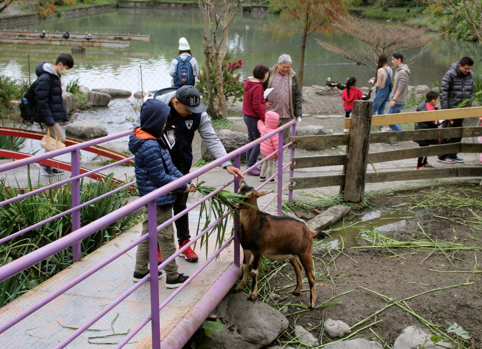【玩 宜農牧場】30元誠實投幣入園.餵食五寶100元可以餵到八種小動物!不限時間、附設停車場 【玩 宜農牧場】30元誠實投幣入園.餵食五寶100元可以餵到八種小動物!不限時間、附設停車場