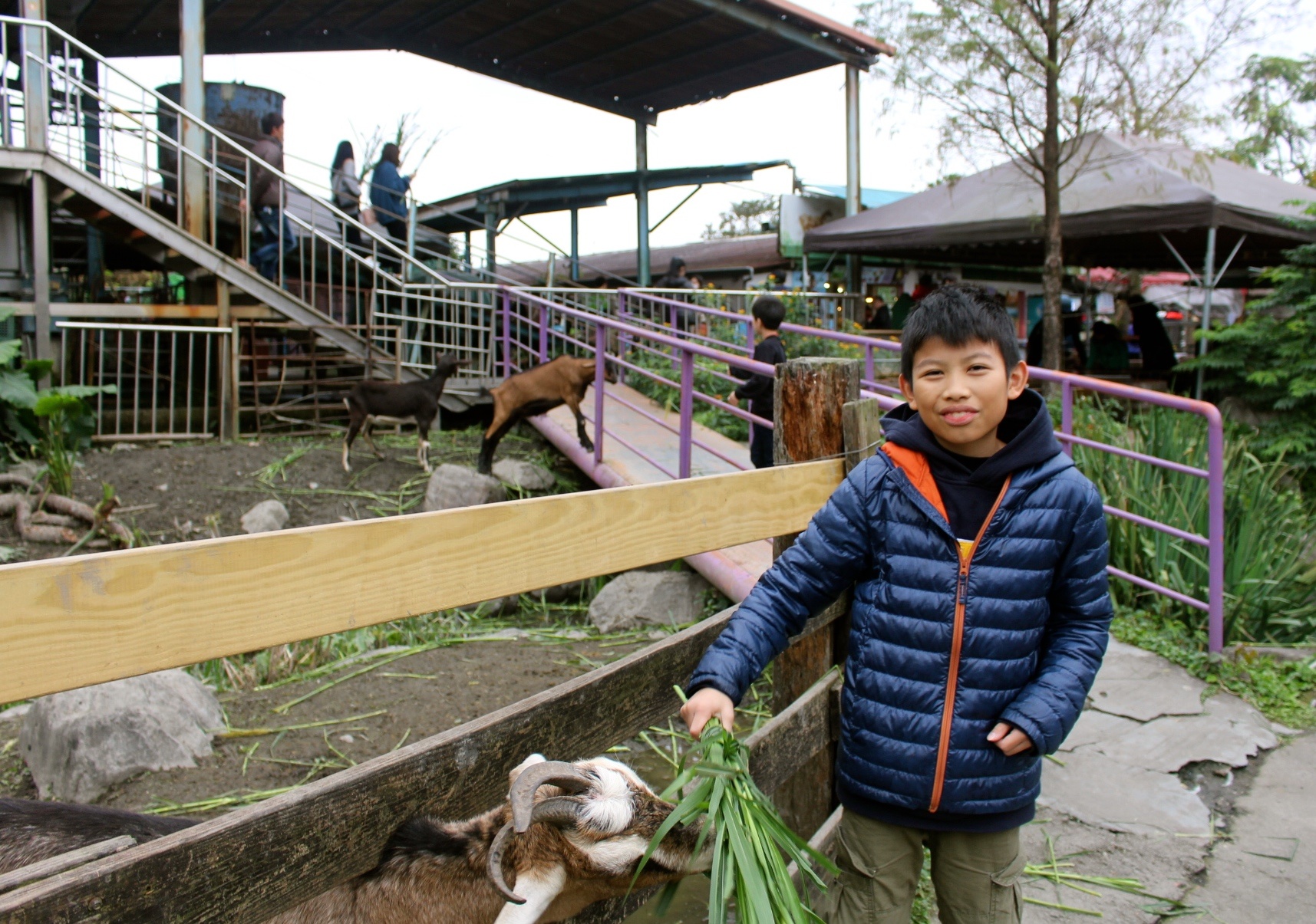 【玩 宜農牧場】30元誠實投幣入園.餵食五寶100元可以餵到八種小動物!不限時間、附設停車場 【玩 宜農牧場】30元誠實投幣入園.餵食五寶100元可以餵到八種小動物!不限時間、附設停車場