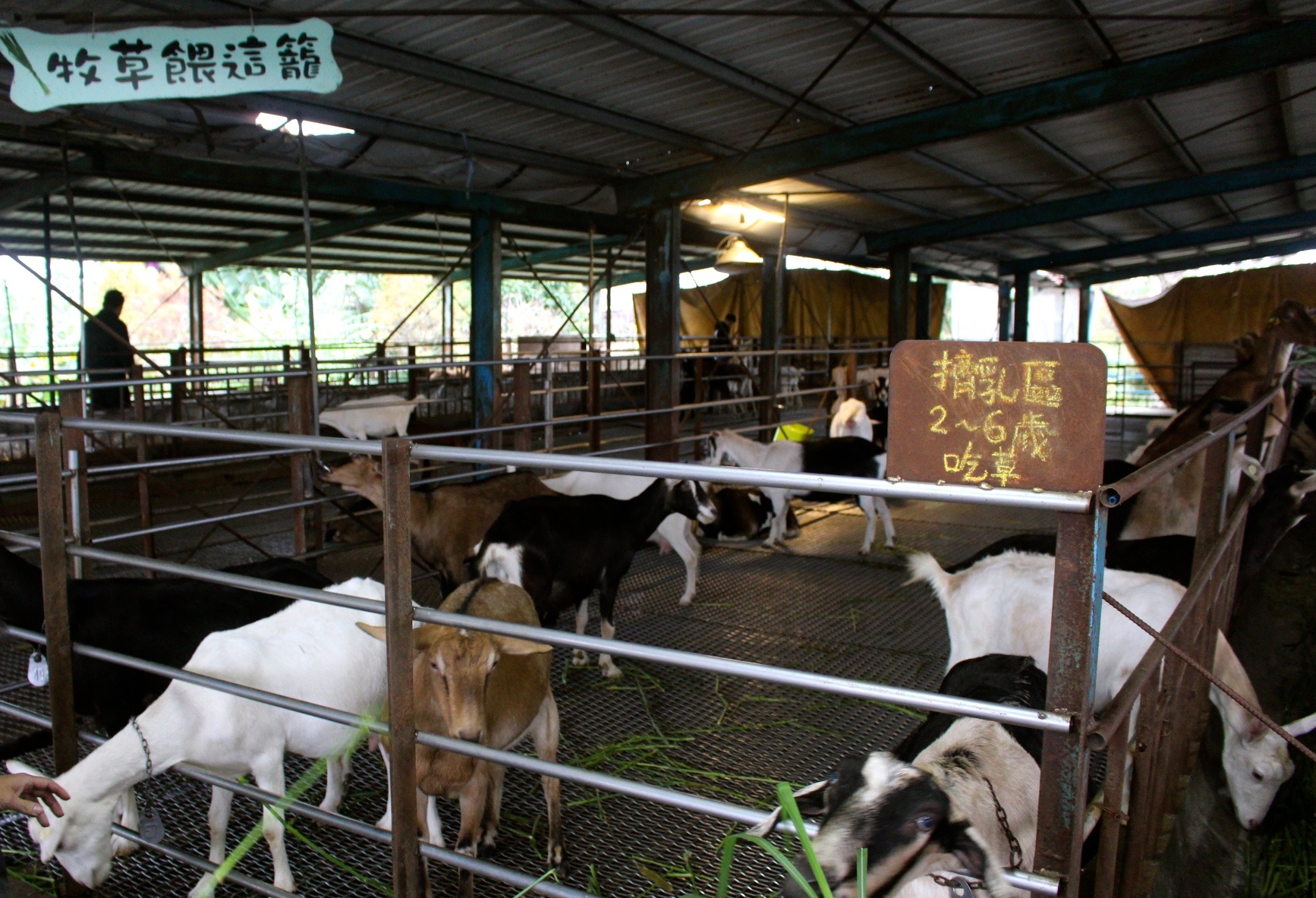 【玩 宜農牧場】30元誠實投幣入園.餵食五寶100元可以餵到八種小動物!不限時間、附設停車場 【玩 宜農牧場】30元誠實投幣入園.餵食五寶100元可以餵到八種小動物!不限時間、附設停車場