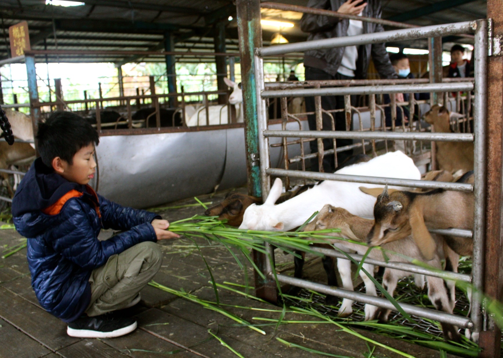 【玩 宜農牧場】30元誠實投幣入園.餵食五寶100元可以餵到八種小動物!不限時間、附設停車場 【玩 宜農牧場】30元誠實投幣入園.餵食五寶100元可以餵到八種小動物!不限時間、附設停車場
