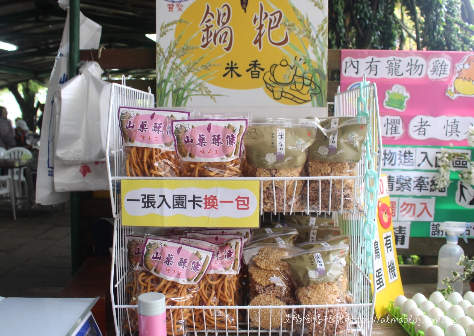竹子湖海芋季