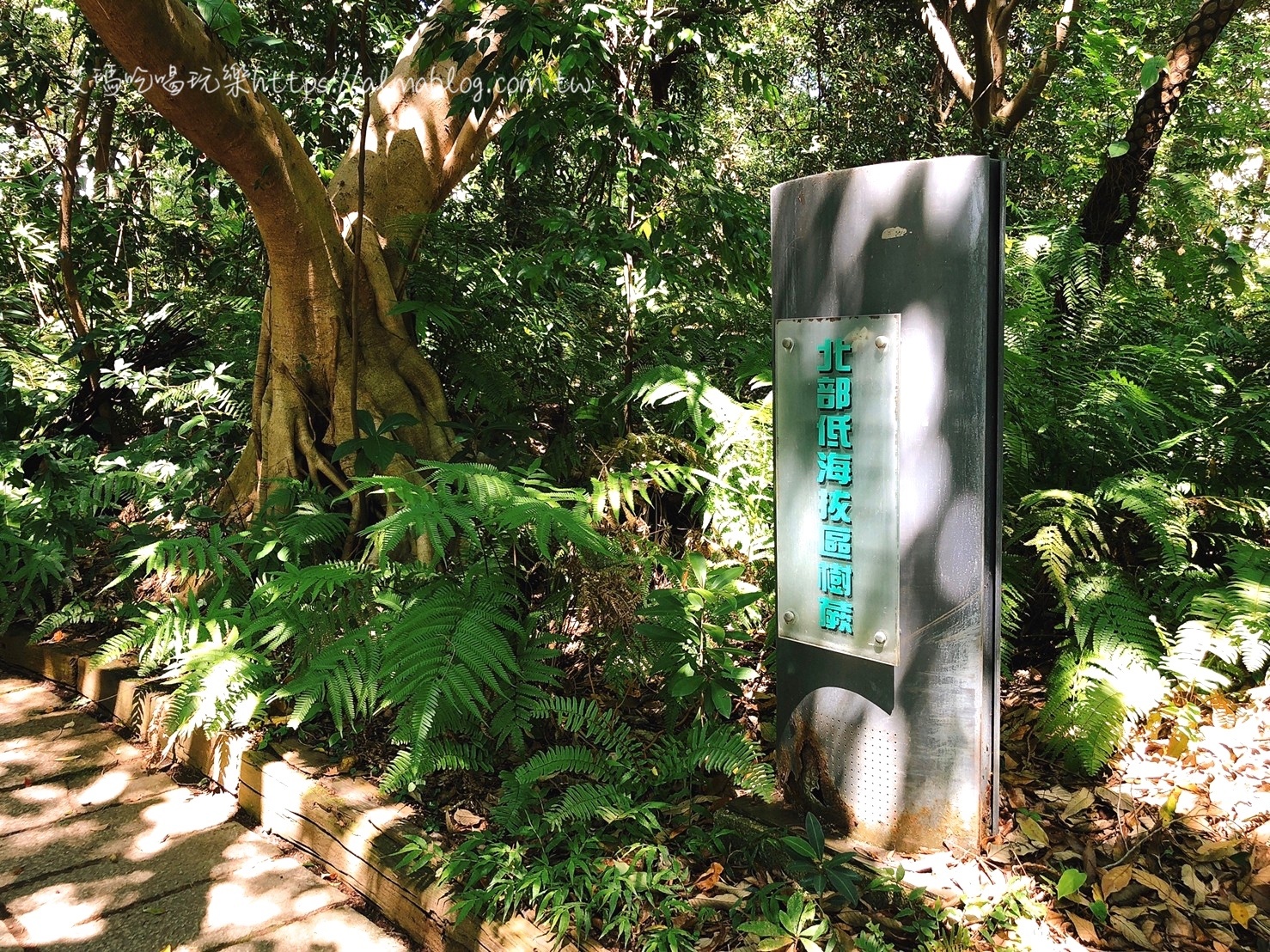 台中科學博物館植物園